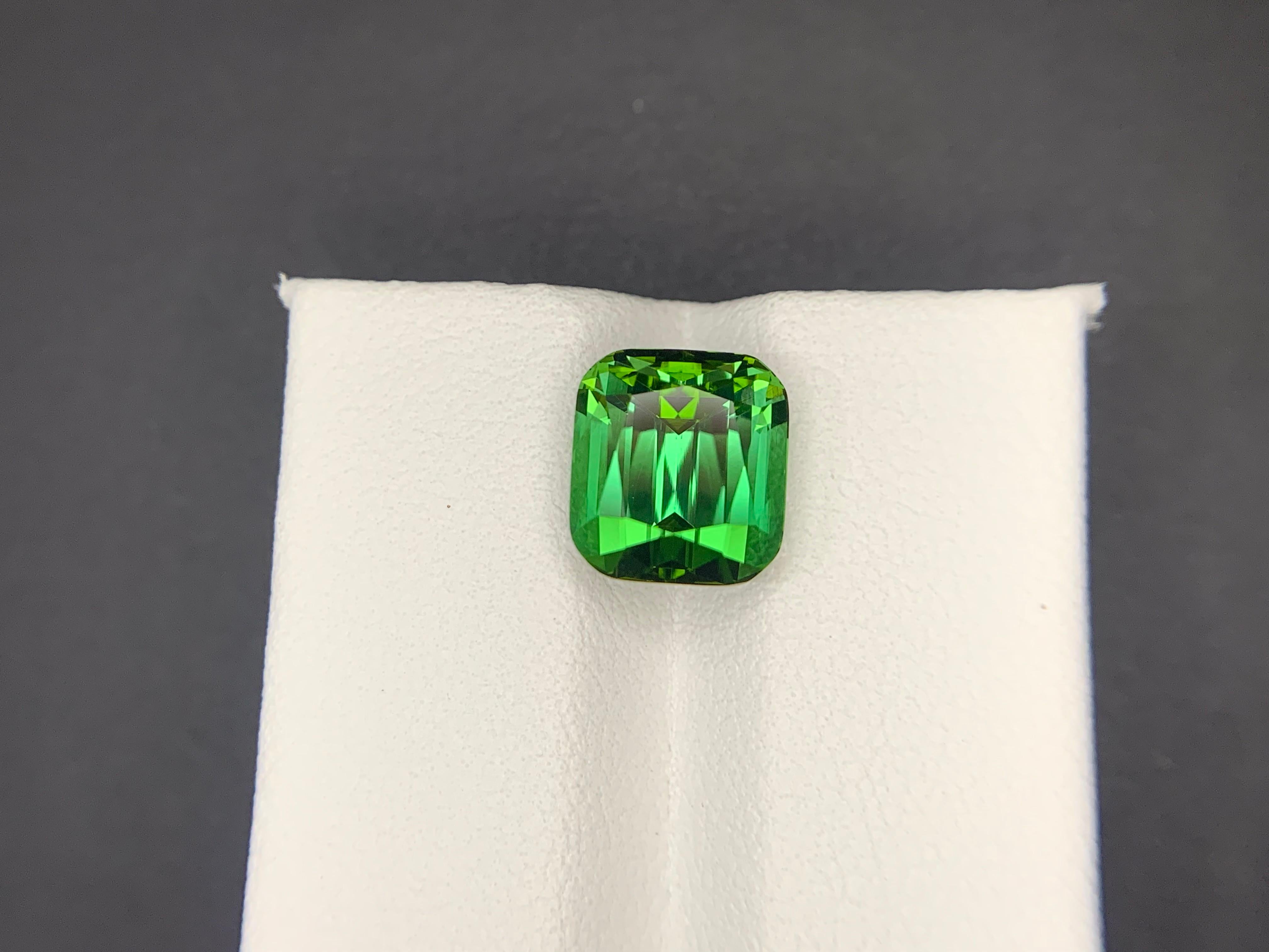5.10 Carats Natural Faceted Green Tourmaline Gemstone (Tourmaline verte à facettes) en vente 10