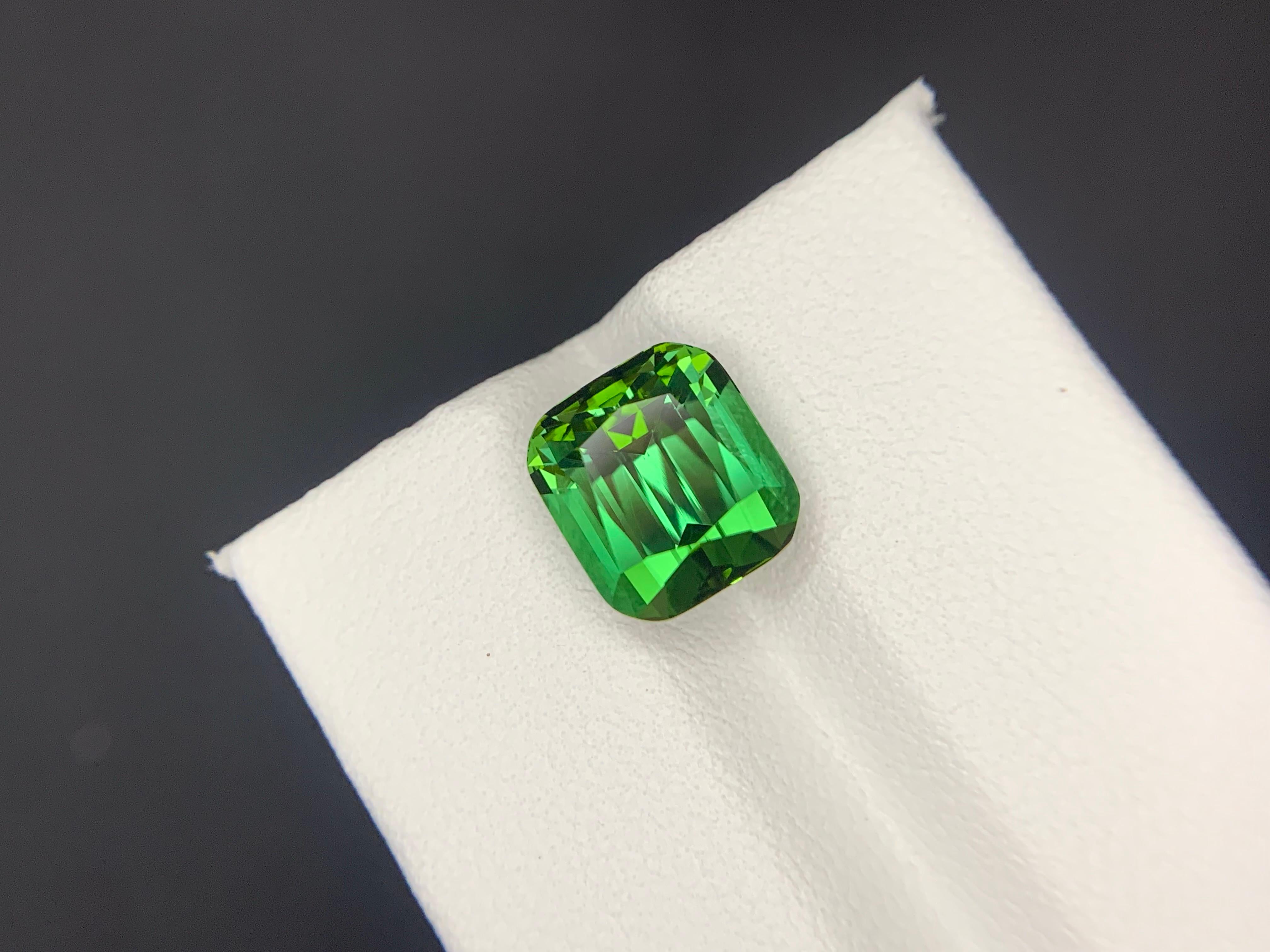 5.10 Carats Natural Faceted Green Tourmaline Gemstone (Tourmaline verte à facettes) en vente 11