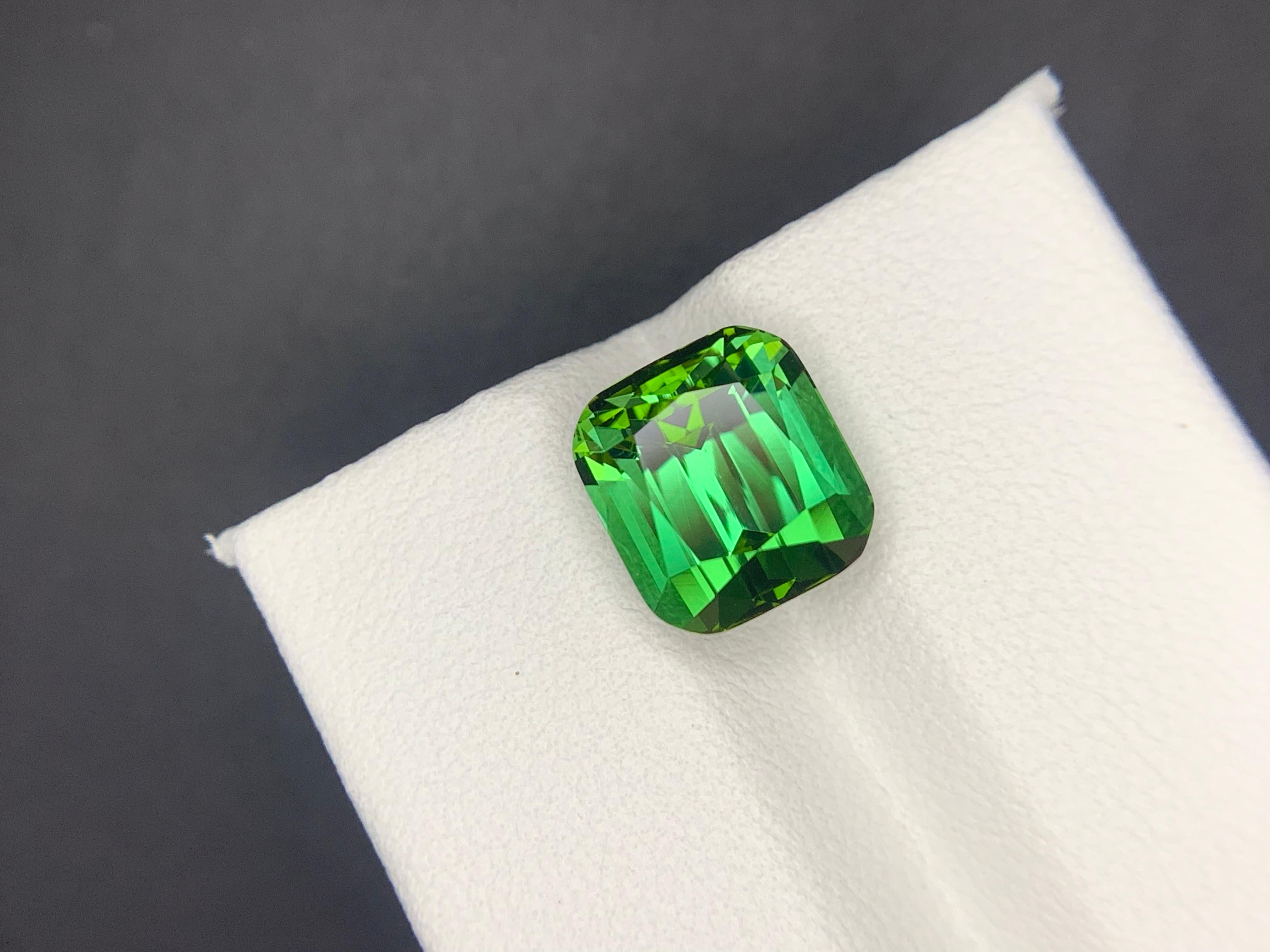 5.10 Carats Natural Faceted Green Tourmaline Gemstone (Tourmaline verte à facettes) Unisexe en vente