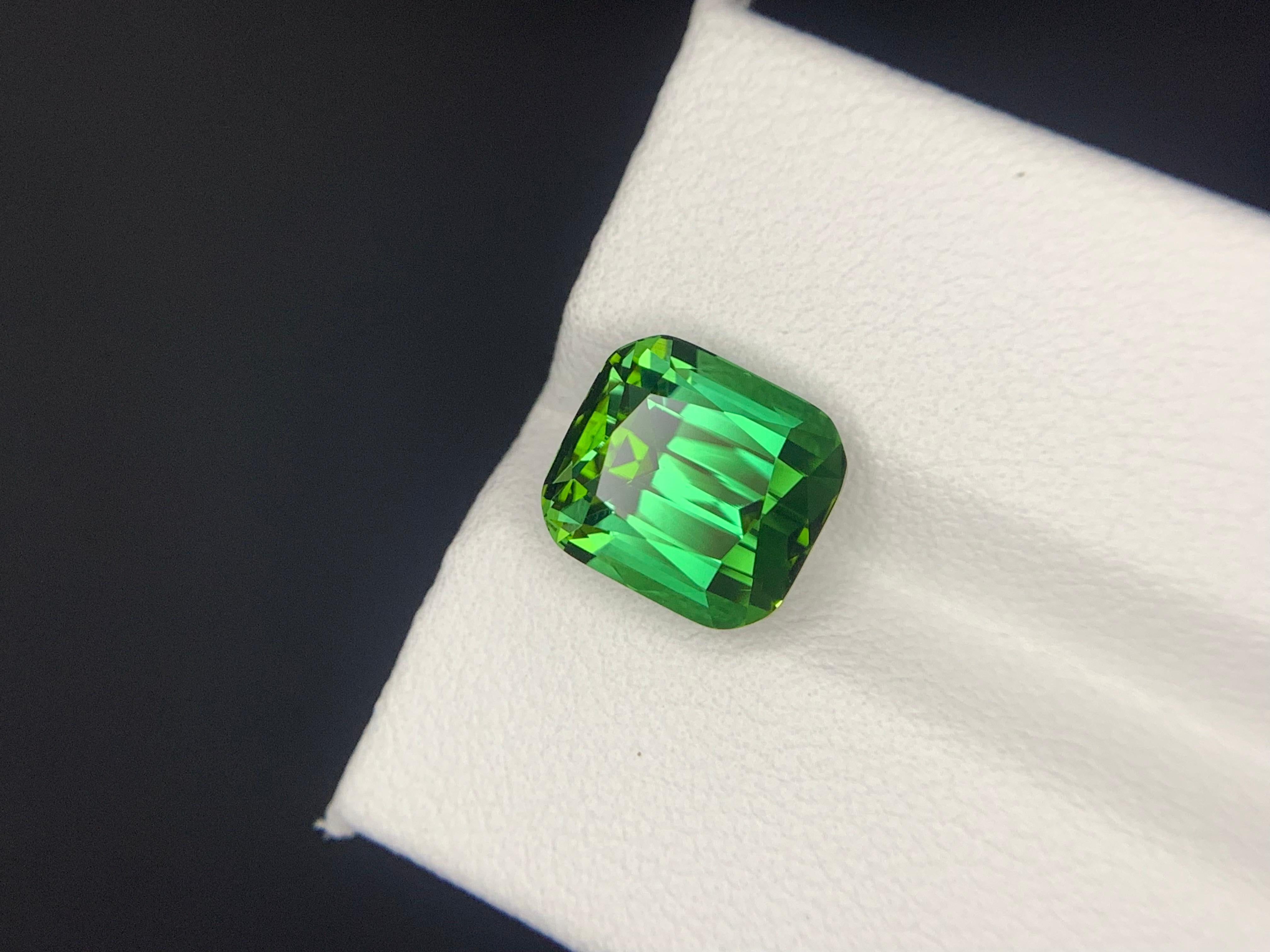 5.10 Carats Natural Faceted Green Tourmaline Gemstone (Tourmaline verte à facettes) en vente 2