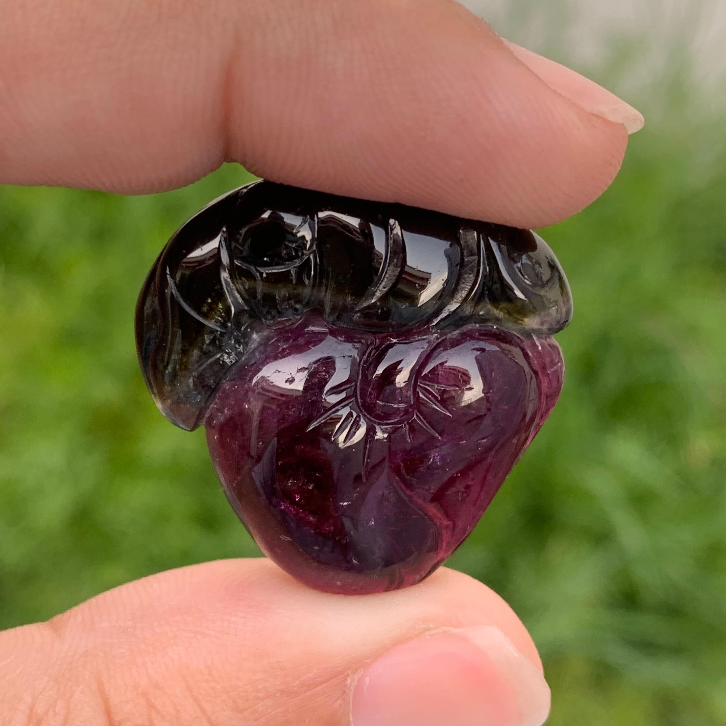 51.05 carat incredible natural loose bicolor tourmaline carving from Africa
Weight: 51.05 Carats
Dimension: 2.8 x 2.8 x 0.8 Cm
Origin: Africa
Color: Red & Green
Shape: Carving
Quality: AAA

Bicolor tourmaline is connected to the heart