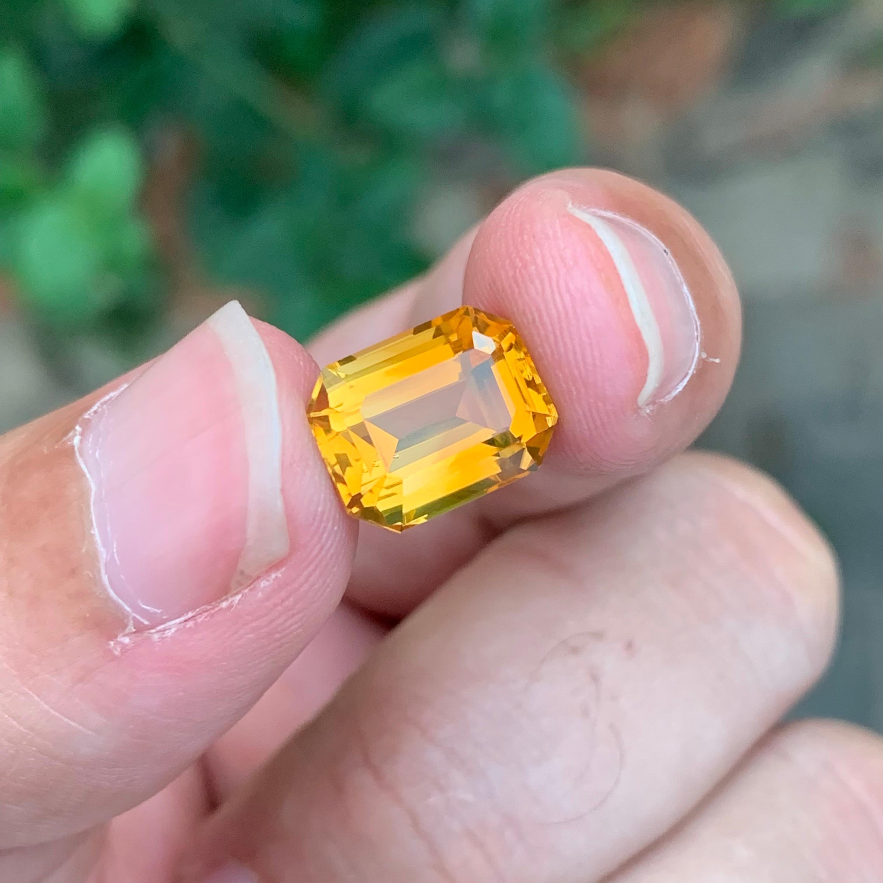 Citrine libre

Poids : 5,15 carats
Dimension : 11,5 x 8,9 x 7,1 mm
Origine : Brésil
Traitement : Non
Certificat : Sur demande
Forme : Émeraude


La citrine, pierre précieuse rayonnante et polyvalente, enchante par ses teintes chaudes et dorées et