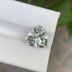 5,15 Karat Natürlicher loser grüner Amethyst / Prasiolith Trillion Shape Edelstein