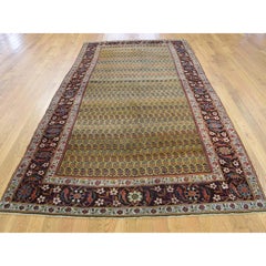 5'1"x9'10" Yellow Antique Zoroastrian Bijar Exc Cond Hand-Knotted Oriental Rug