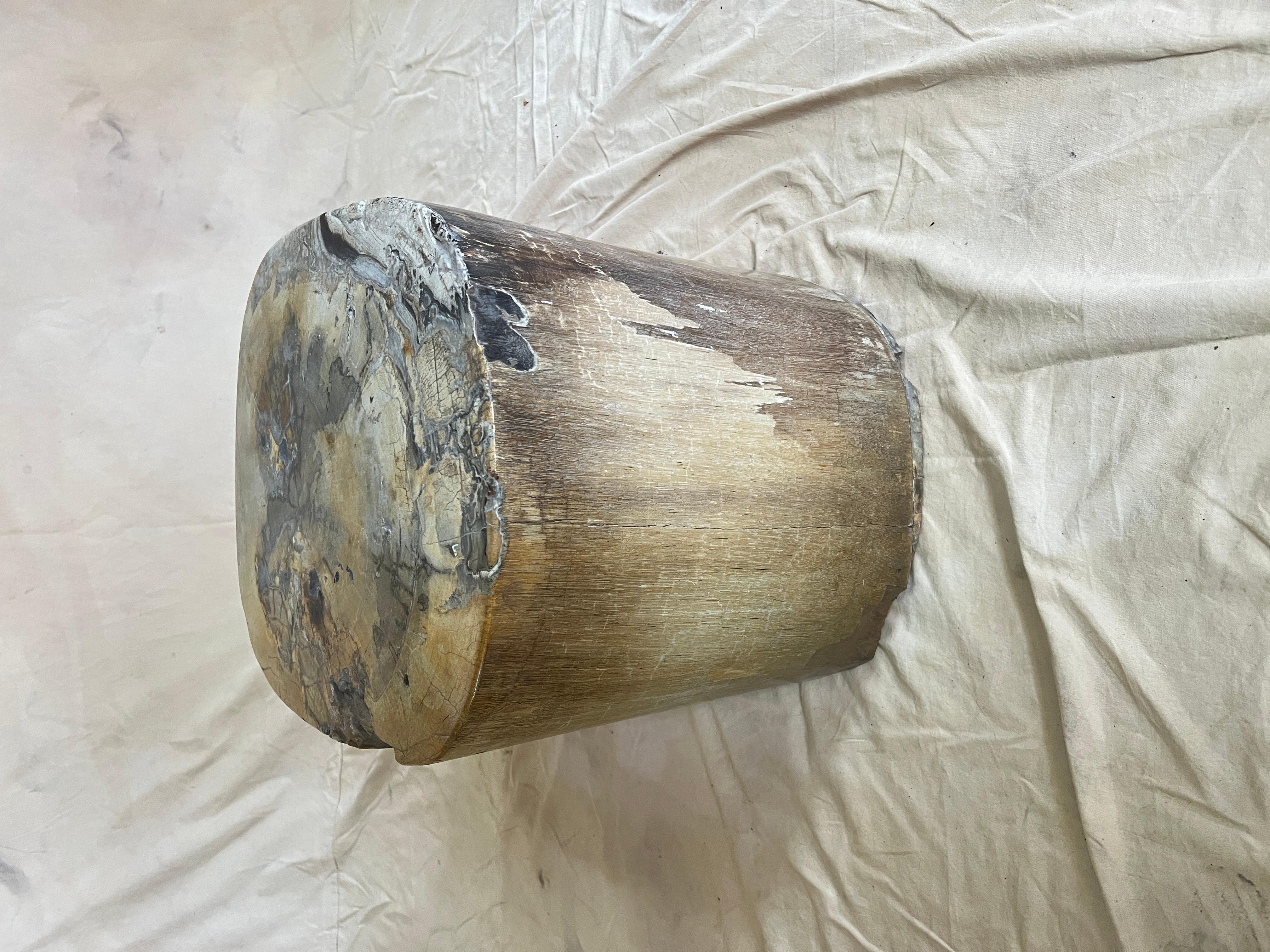 Una Mesa de Cóctel de Piedra en tono neutro, maravillosamente única, con base de madera petrificada.

La pieza es orgánica hasta la médula, literalmente, y un complemento encantador para muchas habitaciones de nuestros patios exteriores, lanai o