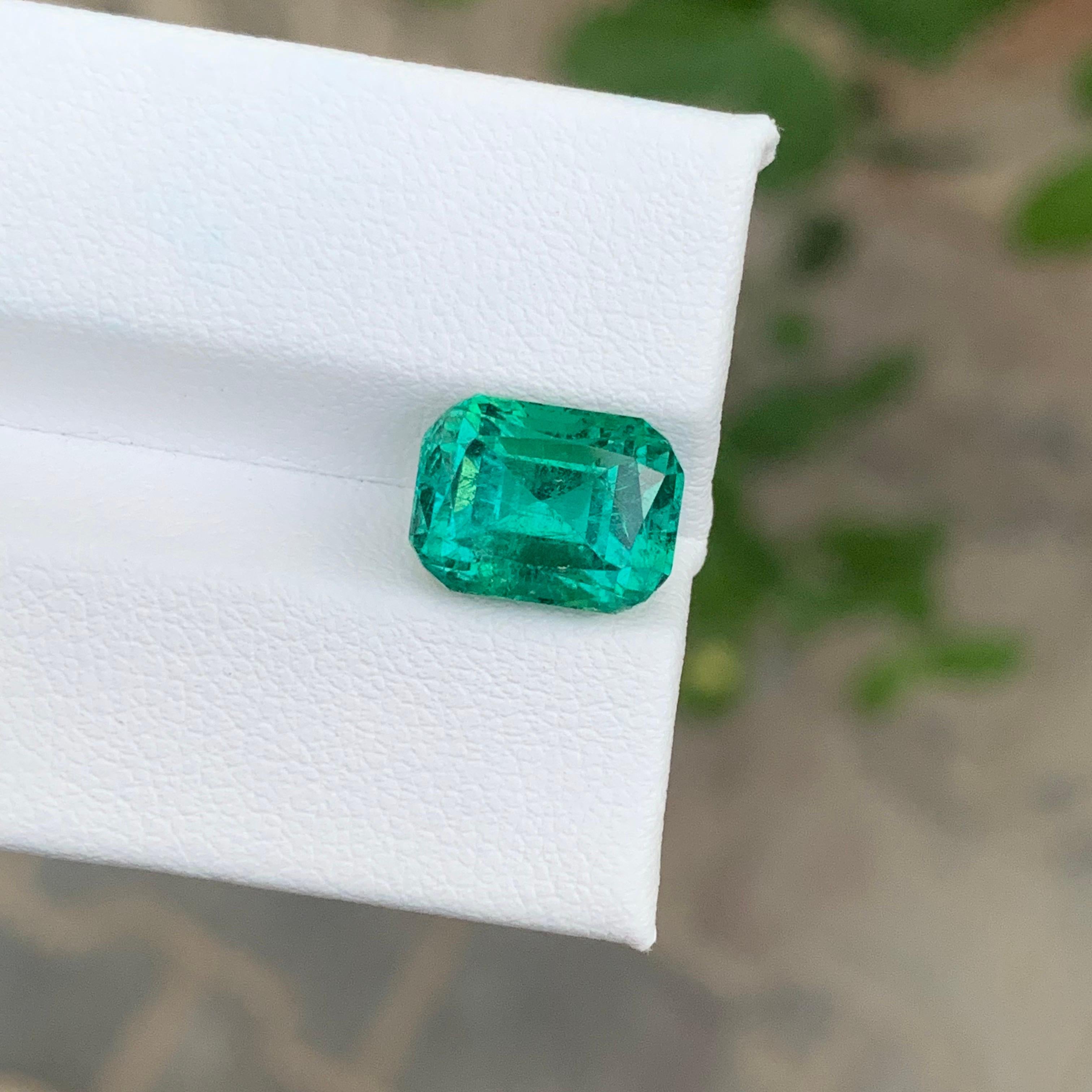 Gema natural suelta de turmalina verde azul de 5.20 quilates en forma de cojín en venta 1