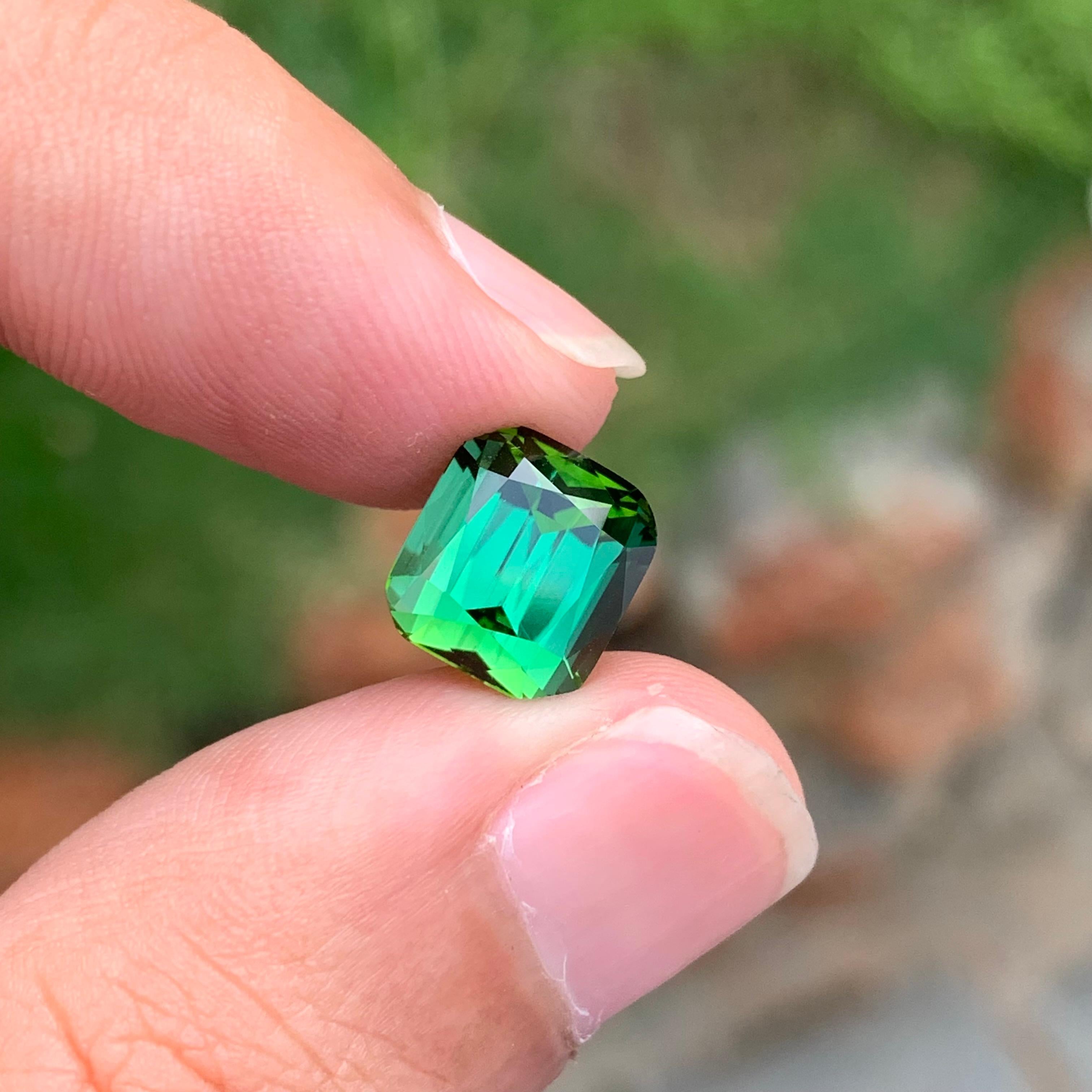 5,20 Carati Nature sciolti Splendid Lavish Green Tourmaline Cushion Shape Gemstone in vendita 1