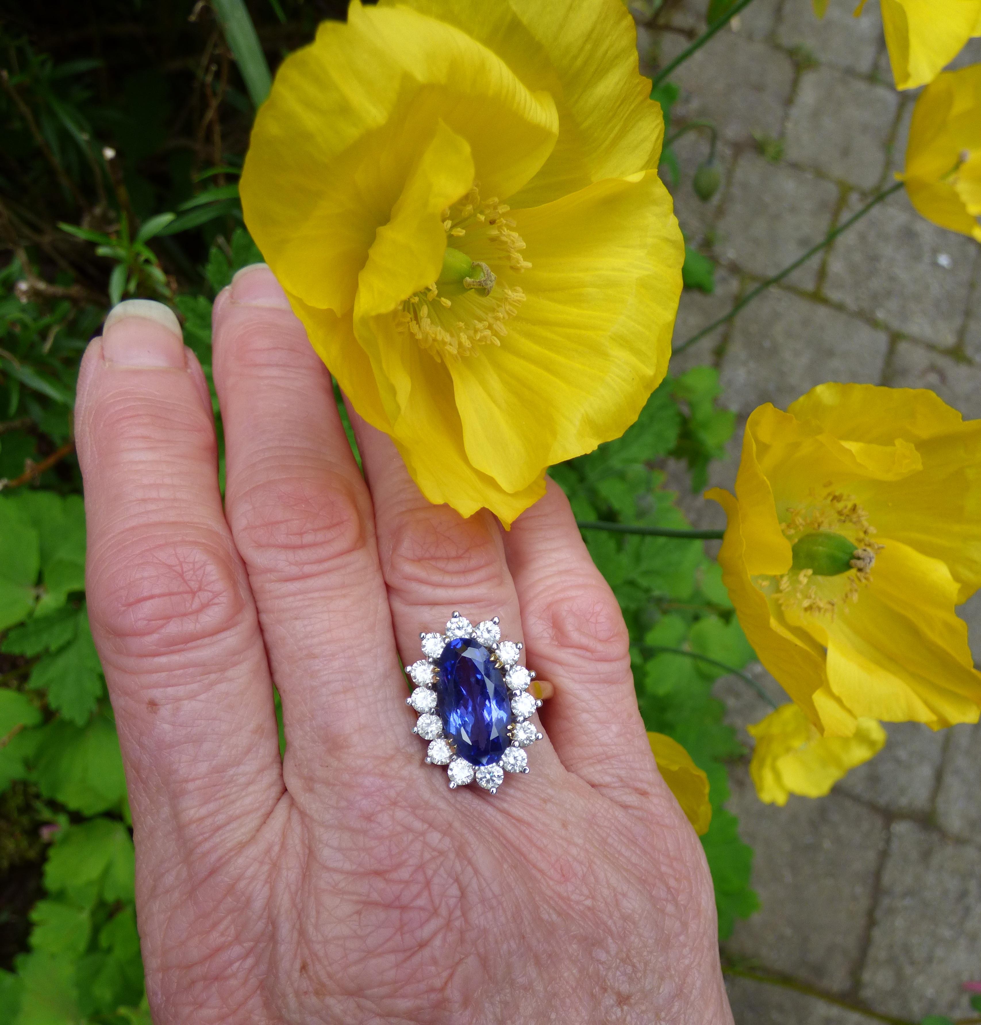 Women's 5.20ct Tanzanite and Diamond Cluster Ring For Sale