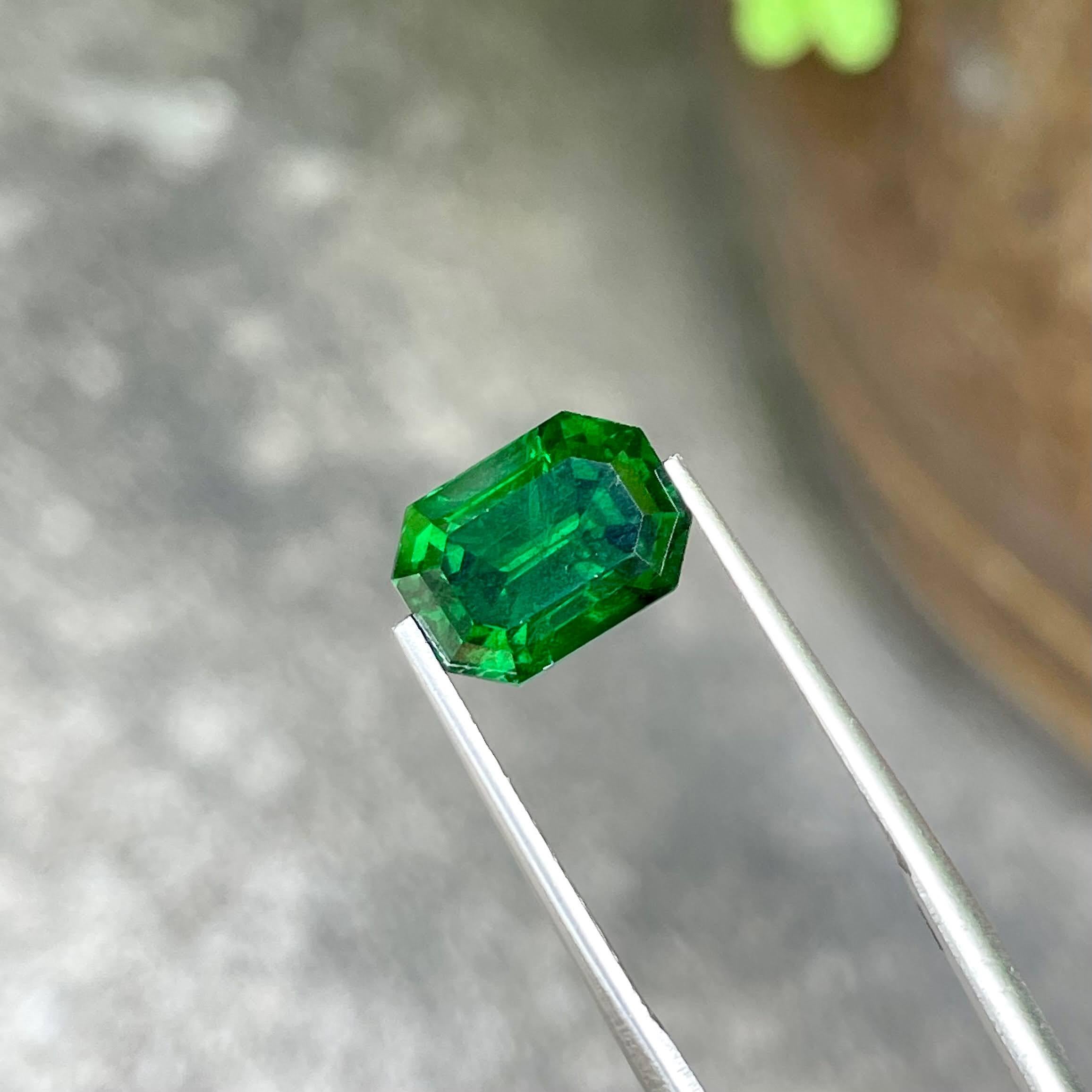Poids 5,21 carats
Dimensions 10,85x7,90x6,65 mm 
Traitement aucun 
Origine Kenya 
Clarté VS
Forme octogonale 
Taille émeraude 



Cet exquis grenat tsavorite vert de 5,21 carats, taillé de manière experte dans une élégante forme d'émeraude, est un