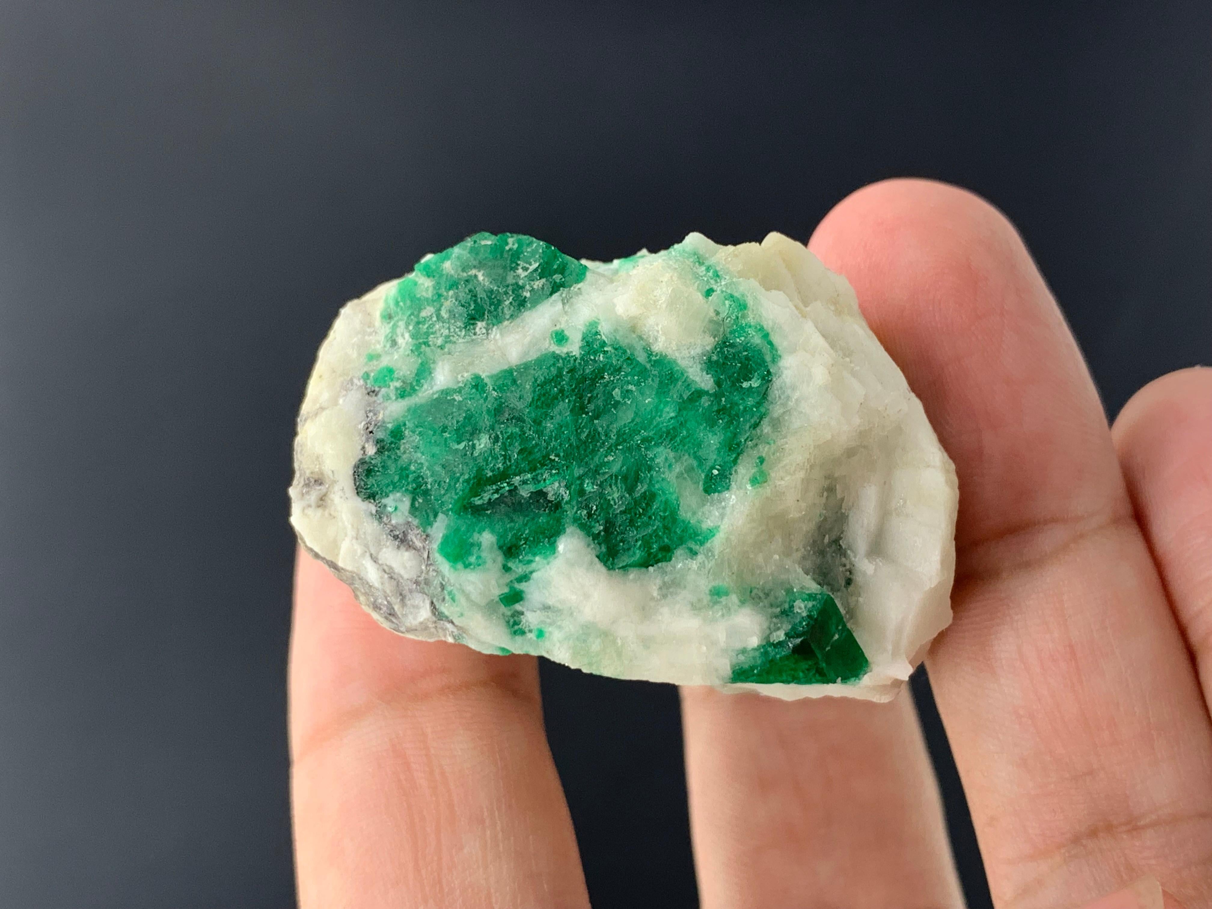 52.22 Gram Incredible Emerald Specimen On Matrix From Swat Valley, Pakistan   For Sale 7
