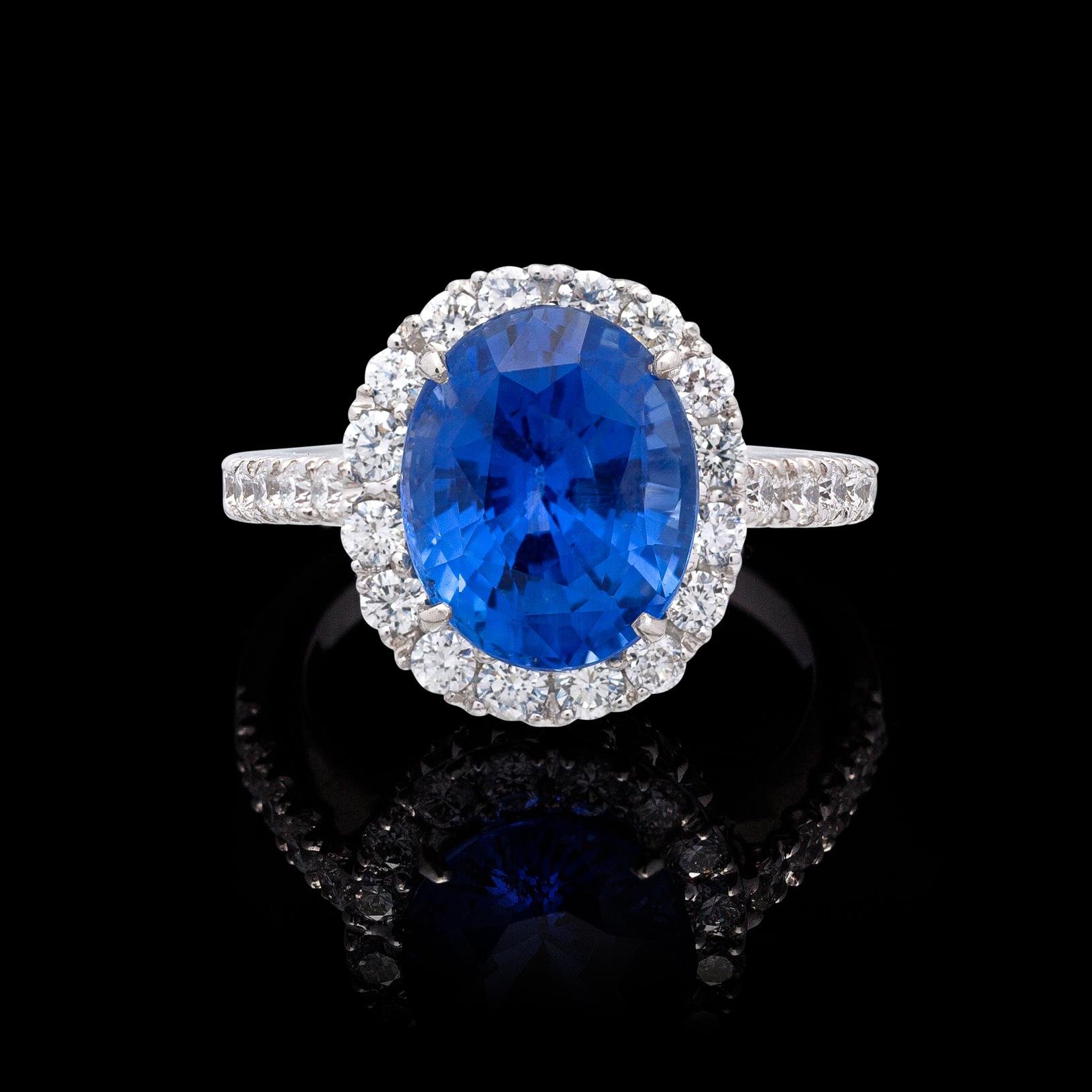 Oval Cut 5.24 Carat Sri Lankan Sapphire and Diamond Ring