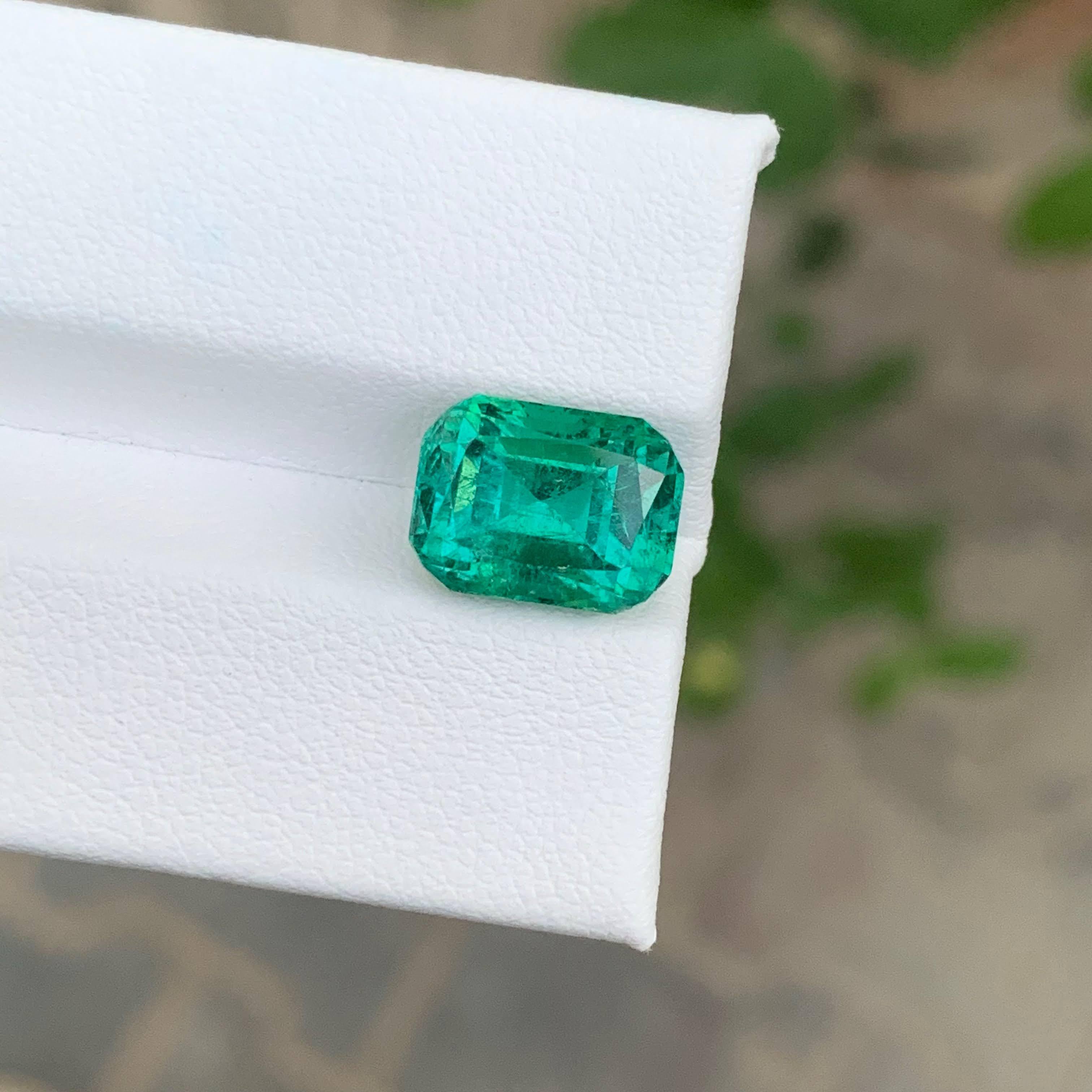 Gewicht 5,25 Karat
Abmessungen 10.7x8.1x7.7mm
Behandlung Keine
Herkunft Afghanistan
Klarheit inbegriffen
Form Kissen
Schnitt Fancy Cushion
NA


Der 5,25 Karat schwere Lagoon Green Turmalin, der sorgfältig in eine Kissenform geschliffen wurde, ist