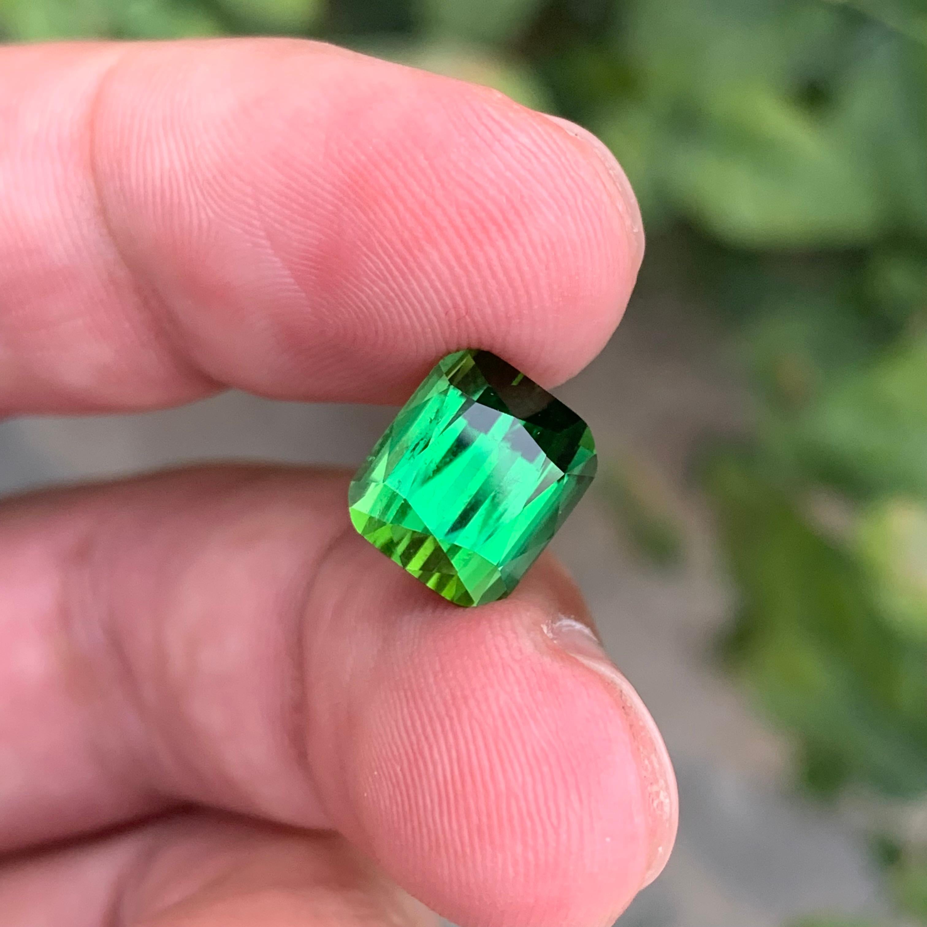 5.30 Carat Natural Loose Green Tourmaline Cushion Shape Gemstone (Tourmaline verte en forme de coussin) en vente 2