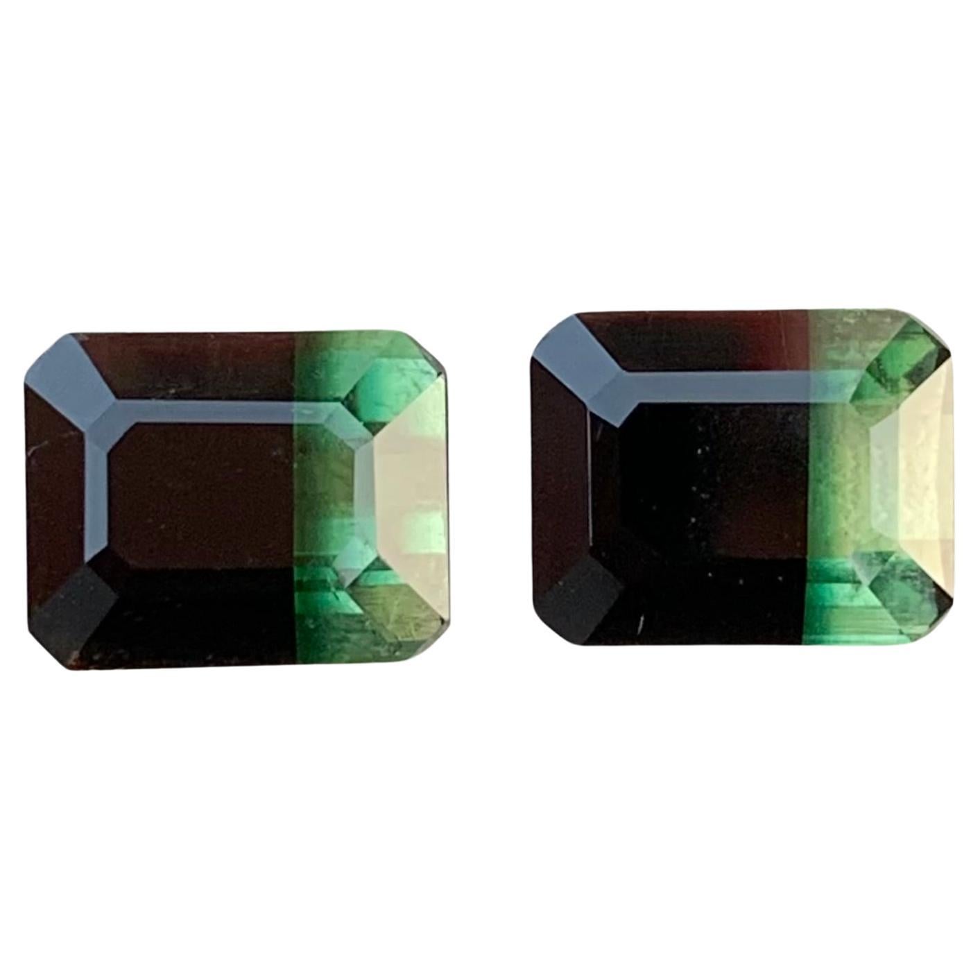 Bi color tourmaline price per carat deals