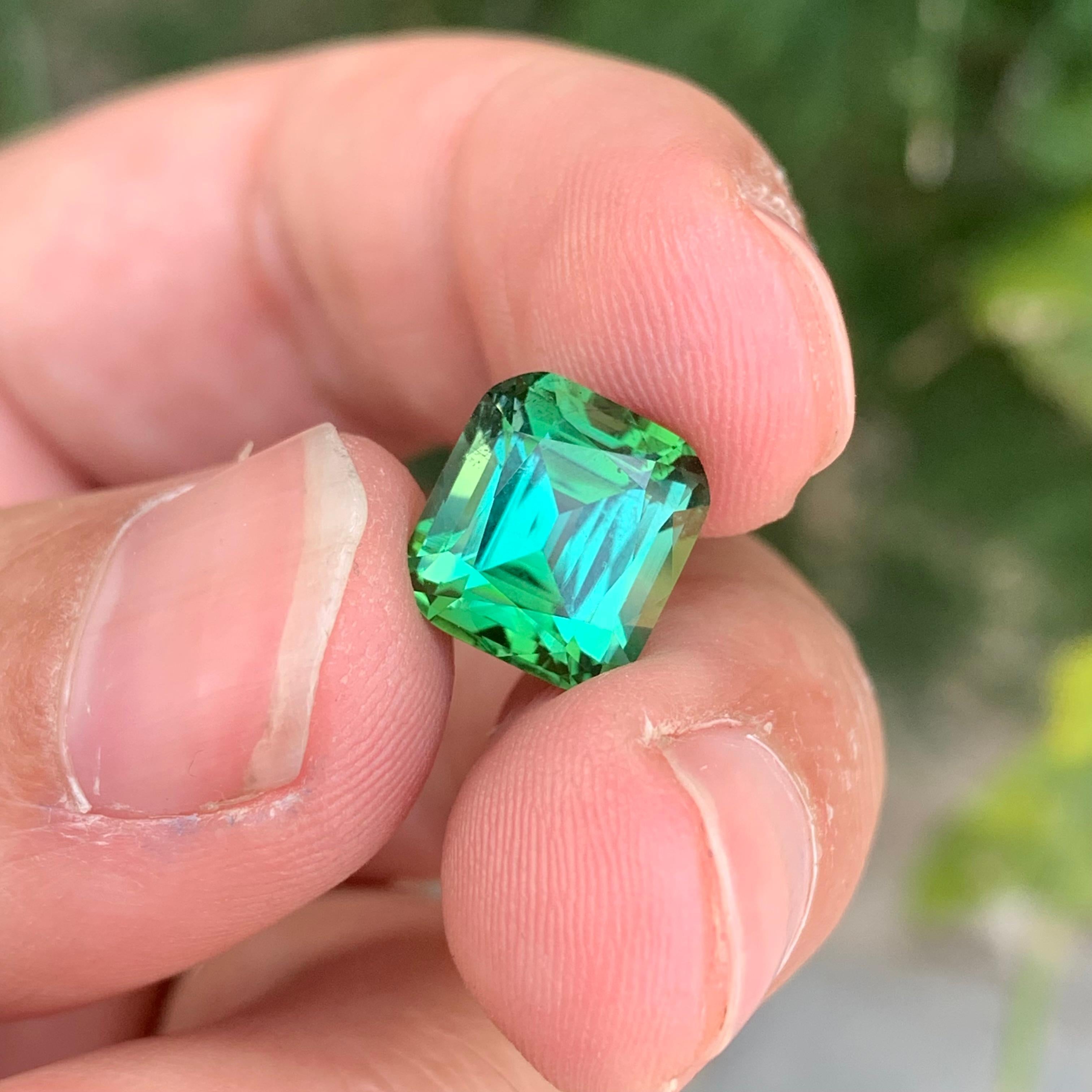 5.35 Carat Natural Loose Green Tourmaline Cushion Shape Gemstone (Tourmaline verte en forme de coussin) en vente 2