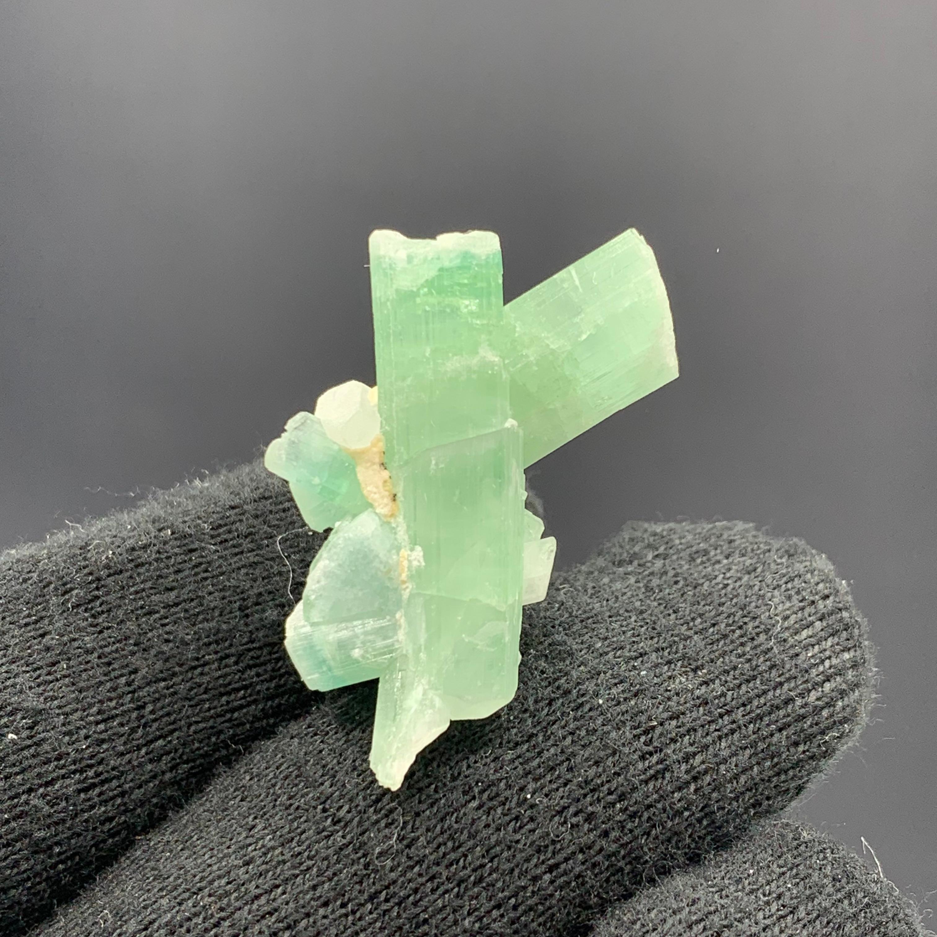 53.55 Cts Adorable Green Sea-foam Tourmaline Crystal Bunch From Afghanistan 

Weight: 53.55 Cts 
Dimension: 3.5 x 1.9 x 1.7 Cm 
Origin: Kunar, Afghanistan 

Tourmaline is a crystalline silicate mineral group in which boron is compounded with