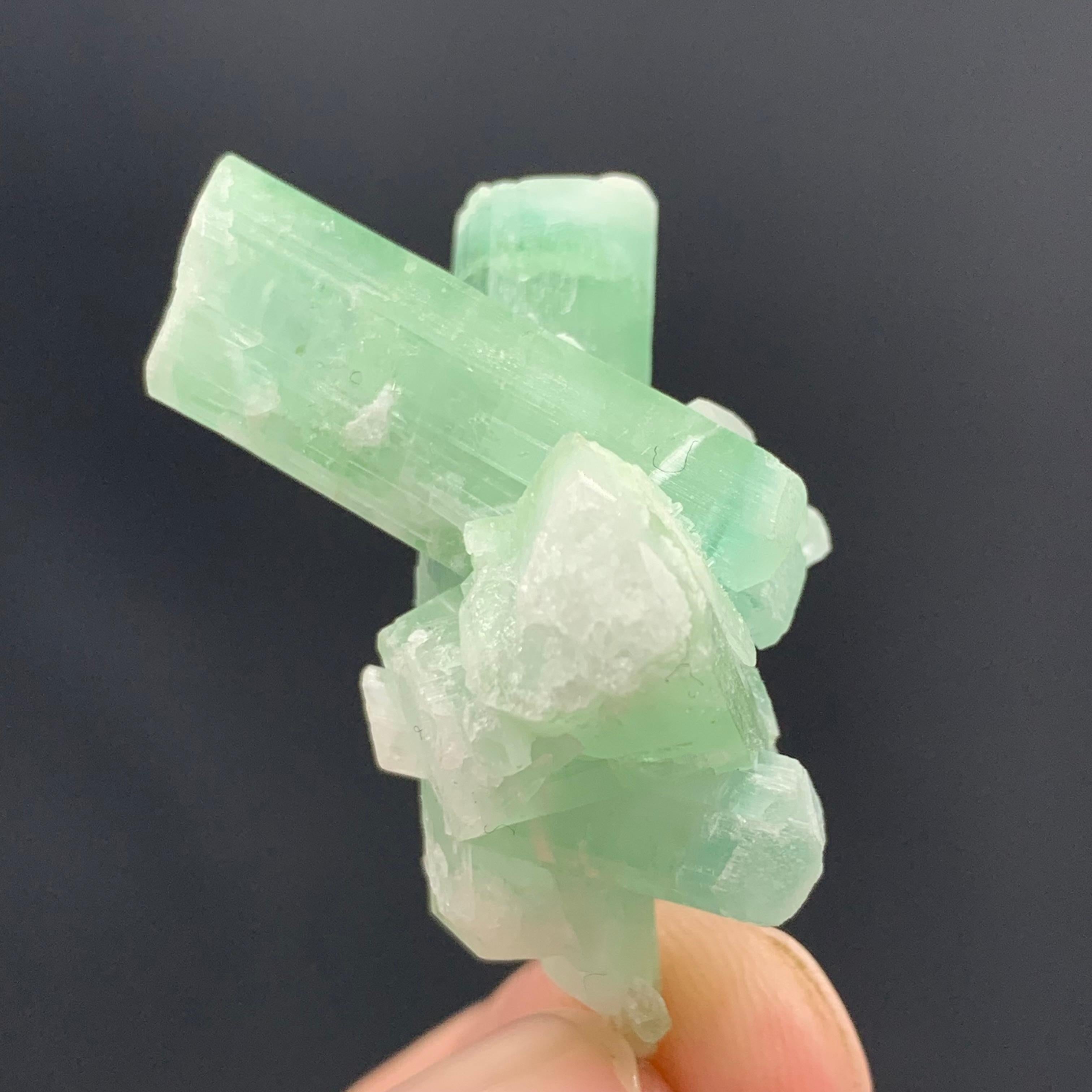 53.55 Cts Adorable Green Sea-foam Tourmaline Crystal Bunch From Afghanistan  For Sale 1