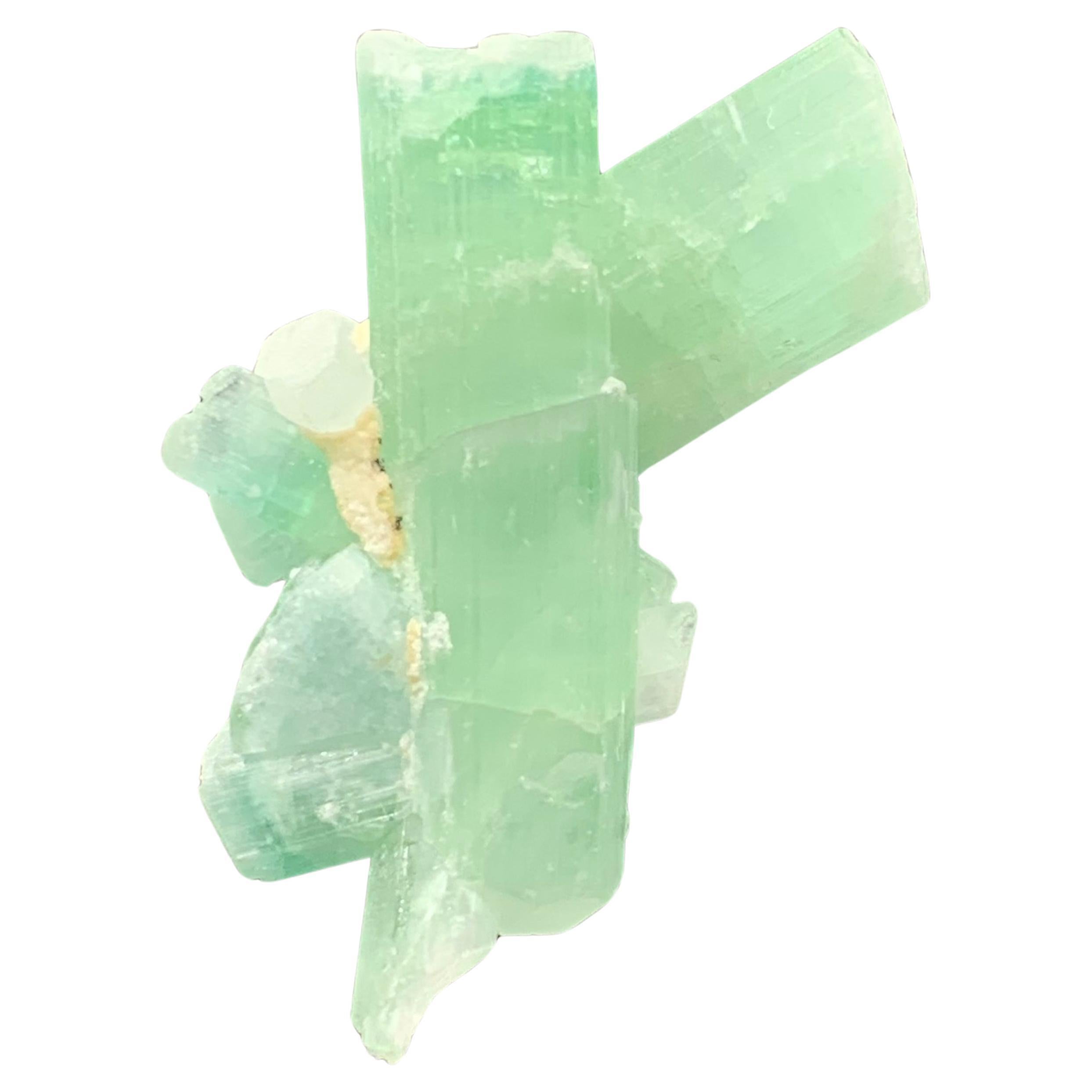 53.55 Cts Adorable Green Sea-foam Tourmaline Crystal Bunch From Afghanistan  For Sale