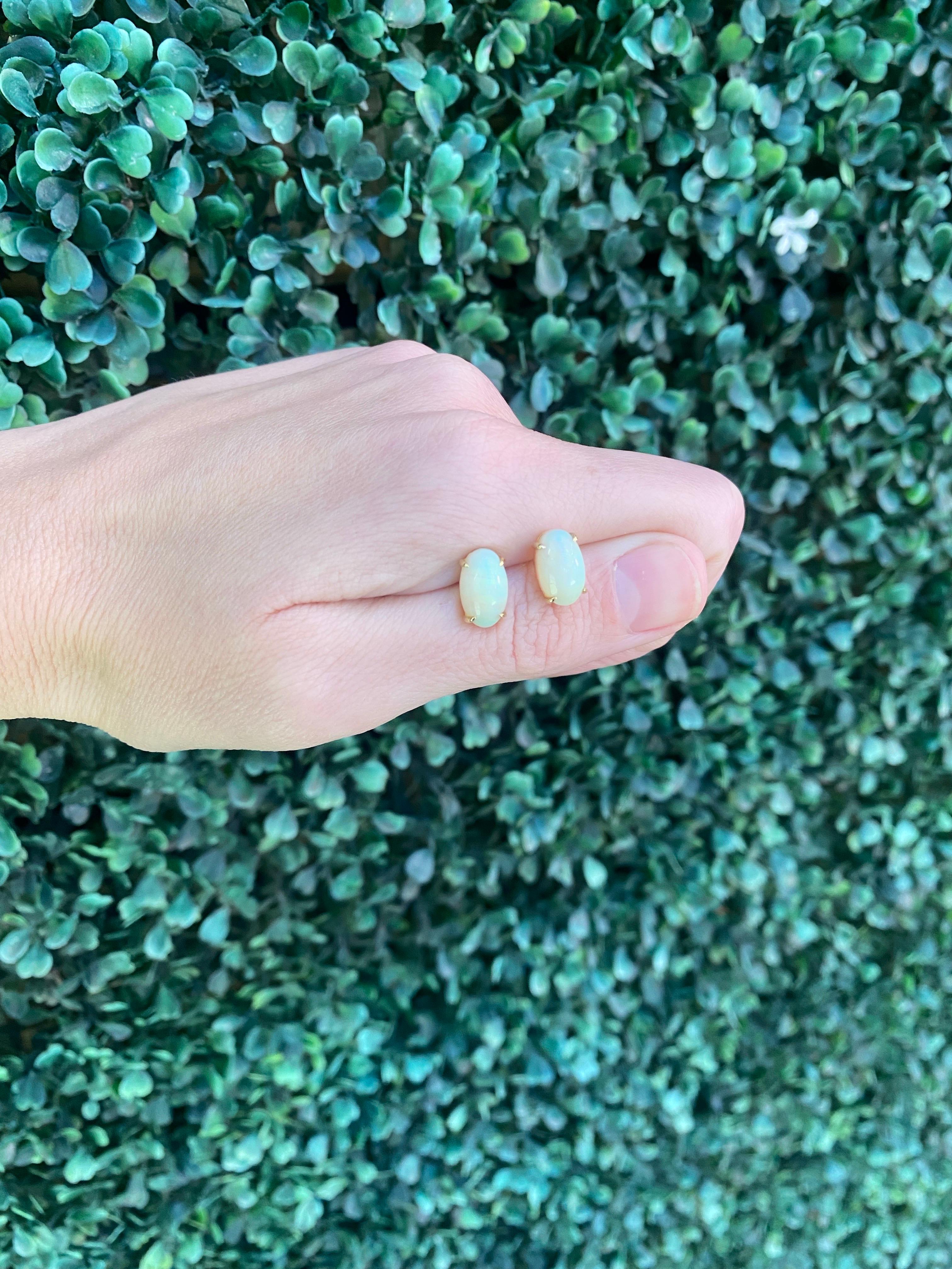 5.37 Carats Oval Cabochon Opal Stud Earrings, 14 Karat Yellow Gold For Sale 4