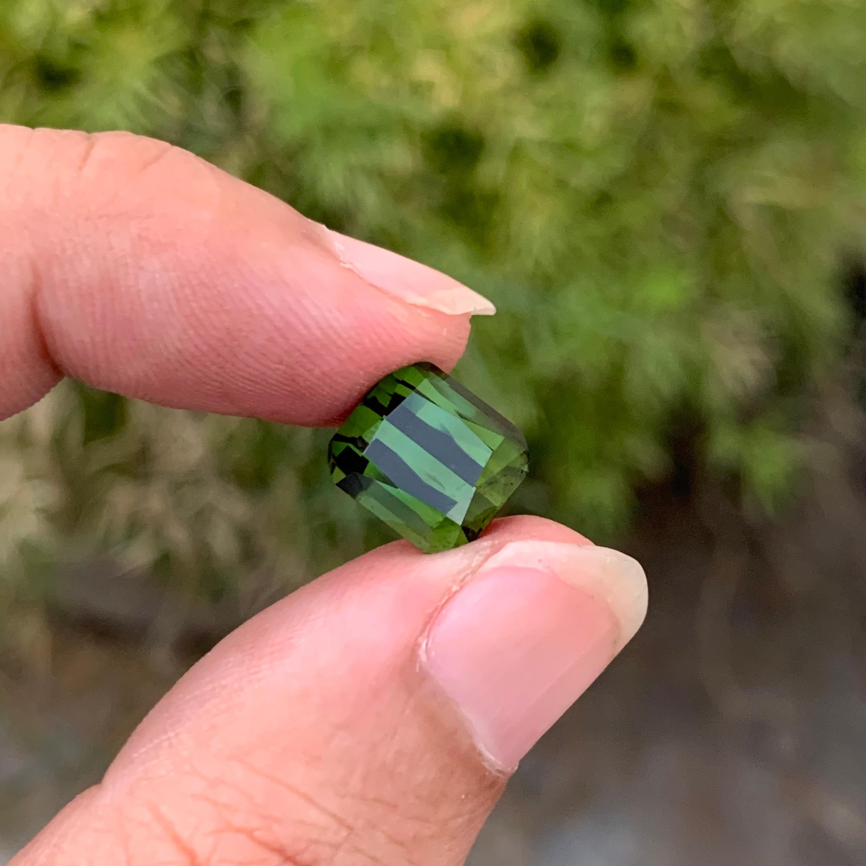 Lose Grüner Turmalin

Gewicht: 5,40 Karat
Abmessung: 10.2 x 9 x 6.5 Mm
Farbe: Grün
Herkunft: Afghanistan
Zertifikat: Auf Anfrage
Behandlung: Nicht


Der Turmalin ist ein faszinierender Edelstein, der für seine bemerkenswerte Farbvielfalt bekannt