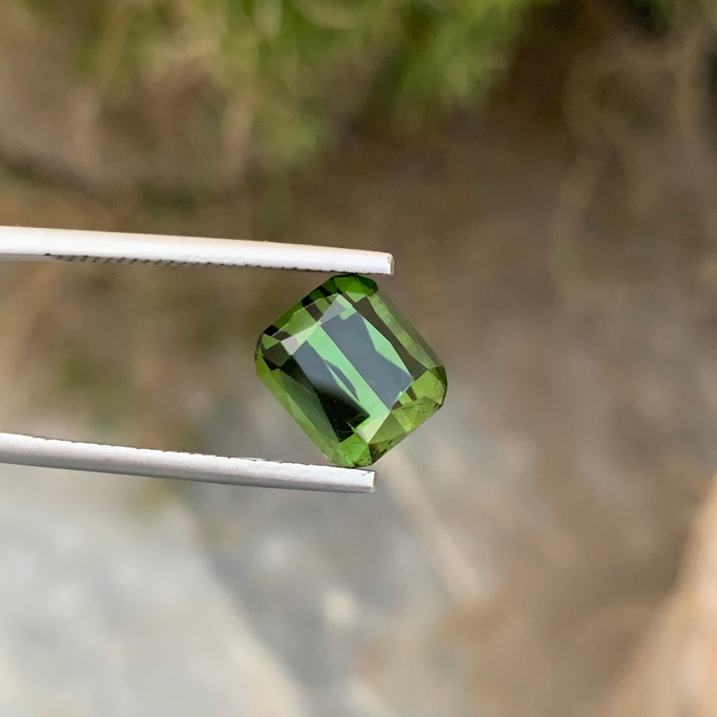 5,40 Karat Platte AAA Qualität natürlicher loser grüner Turmalin aus Afghanistan-Mine (Arts and Crafts) im Angebot