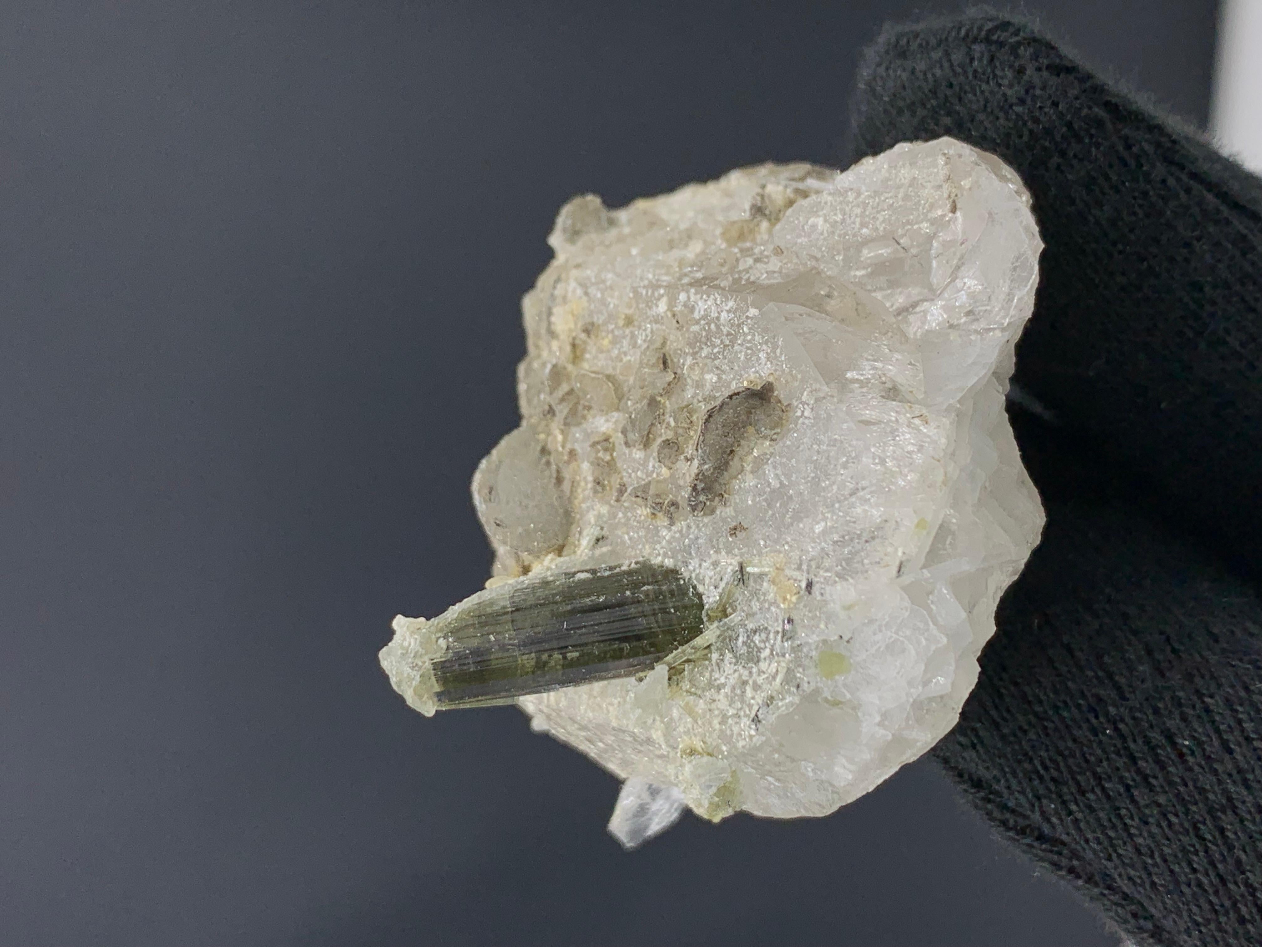 
54.05 Gram Tourmaline On Quartz Specimen From Stak Nala, Pakistan 

Weight: 54.05 Gram
Dimension: 3 x 4.5 x 4.3 Cm 
Origin: Stak Nala Valley, Skardu District, Gilgit Baltistan Province, Pakistan 


Tourmaline is a crystalline silicate mineral group