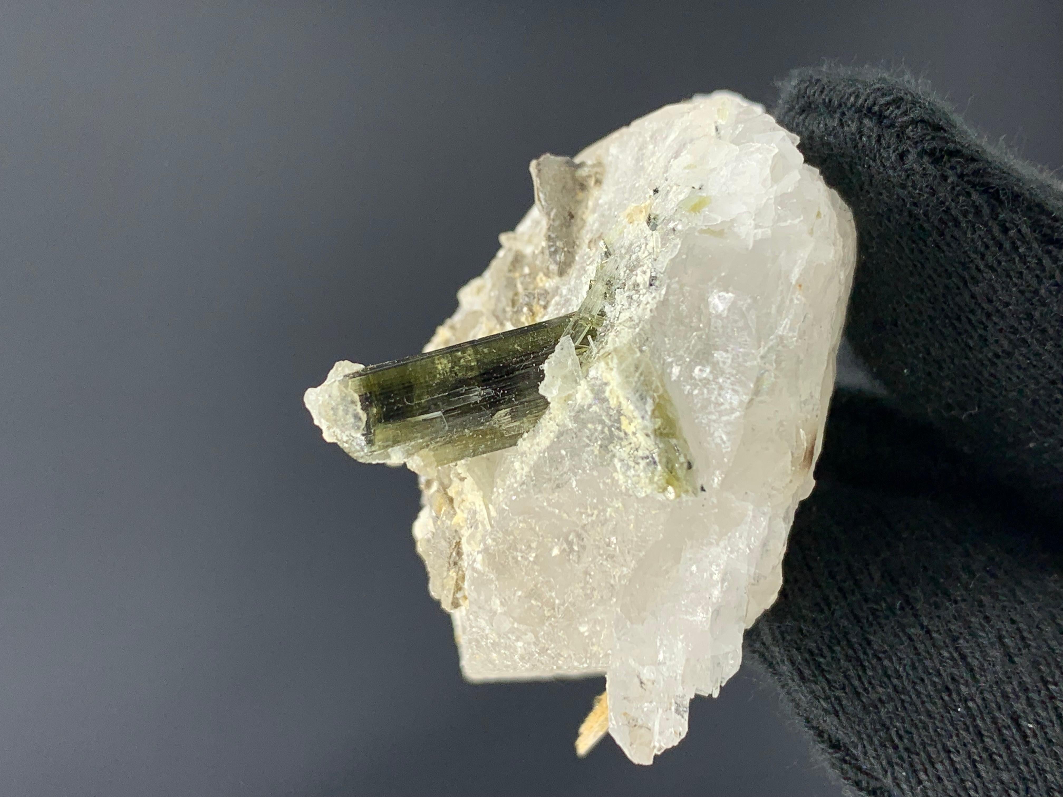 Adam Style 54.05 Gram Tourmaline On Quartz Specimen From Stak Nala, Pakistan For Sale