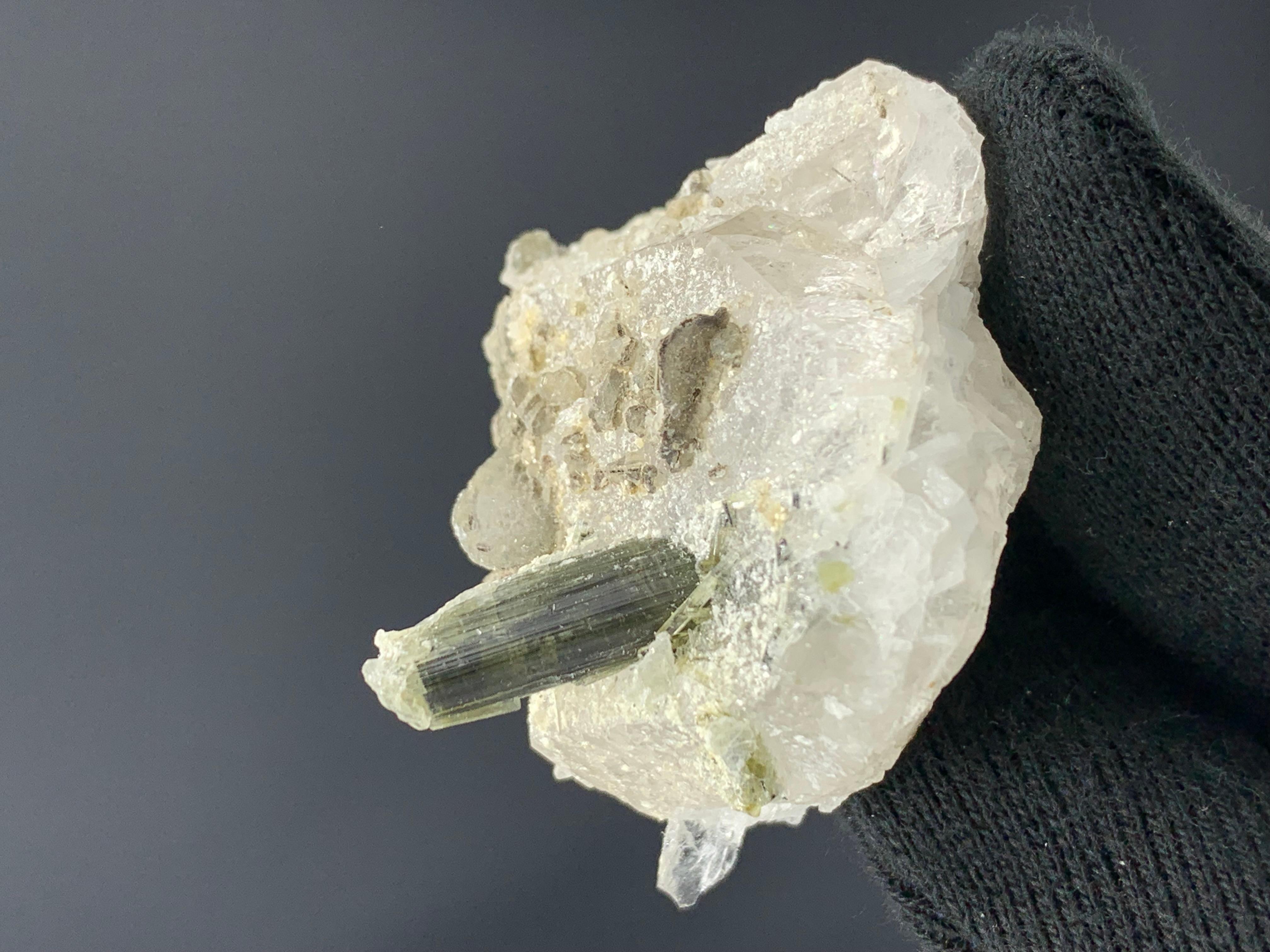 54.05 Gram Tourmaline On Quartz Specimen From Stak Nala, Pakistan For Sale 1