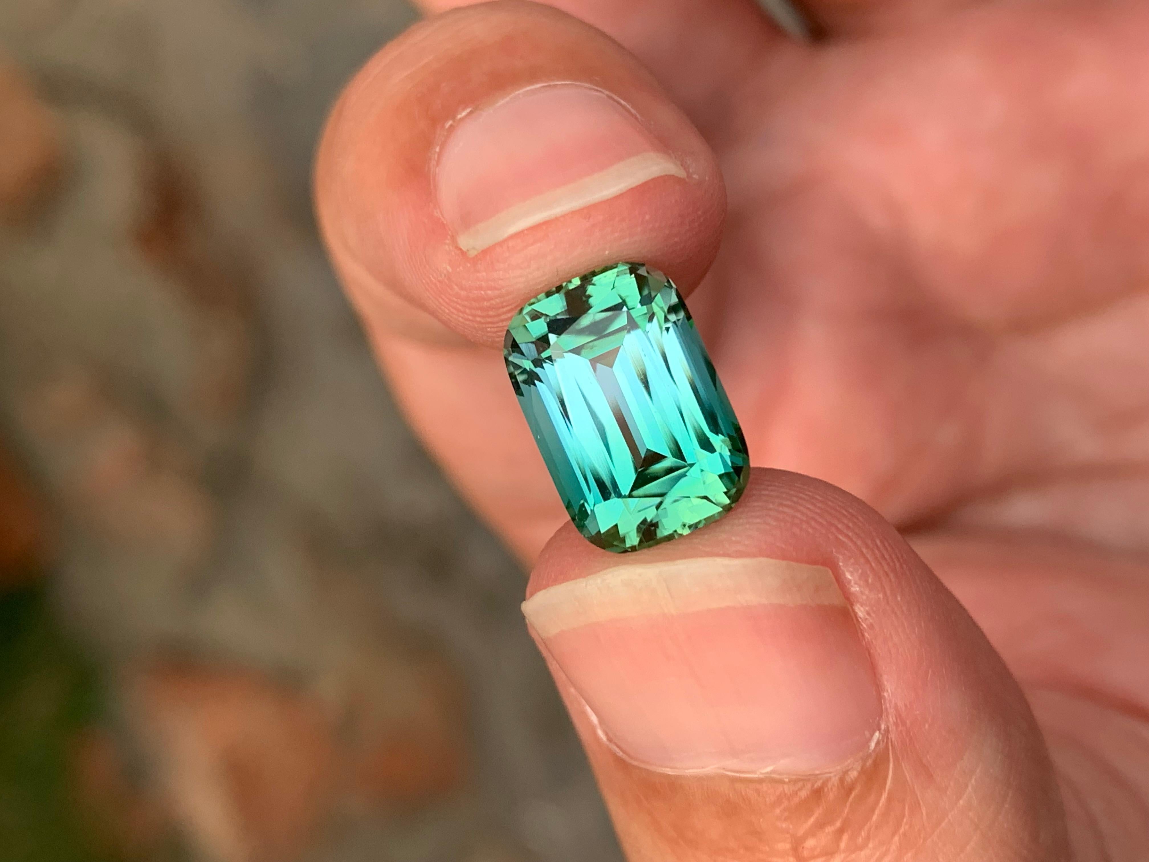 Taille coussin Top Quality 5.45 Carats Natural Loose Bicolor Seafoam Tourmaline en vente