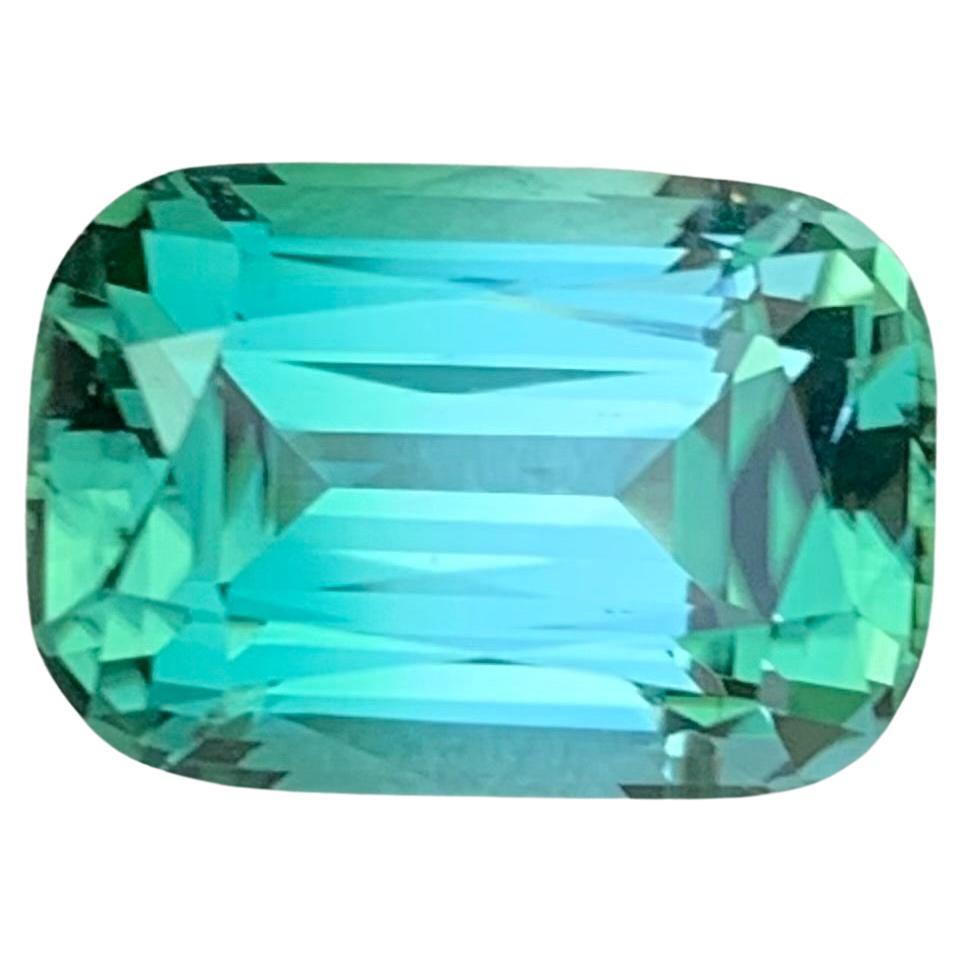 Tourmaline verte Seafoam facettée

Poids : 5,45 carats
Dimension : 12,1 x 8,4 x 6,7 mm
Couleur : Vert Seafoam 
Traitement : Non
Certificat : Sur demande du client
Forme : Coussin


La tourmaline est une pierre précieuse captivante connue pour sa