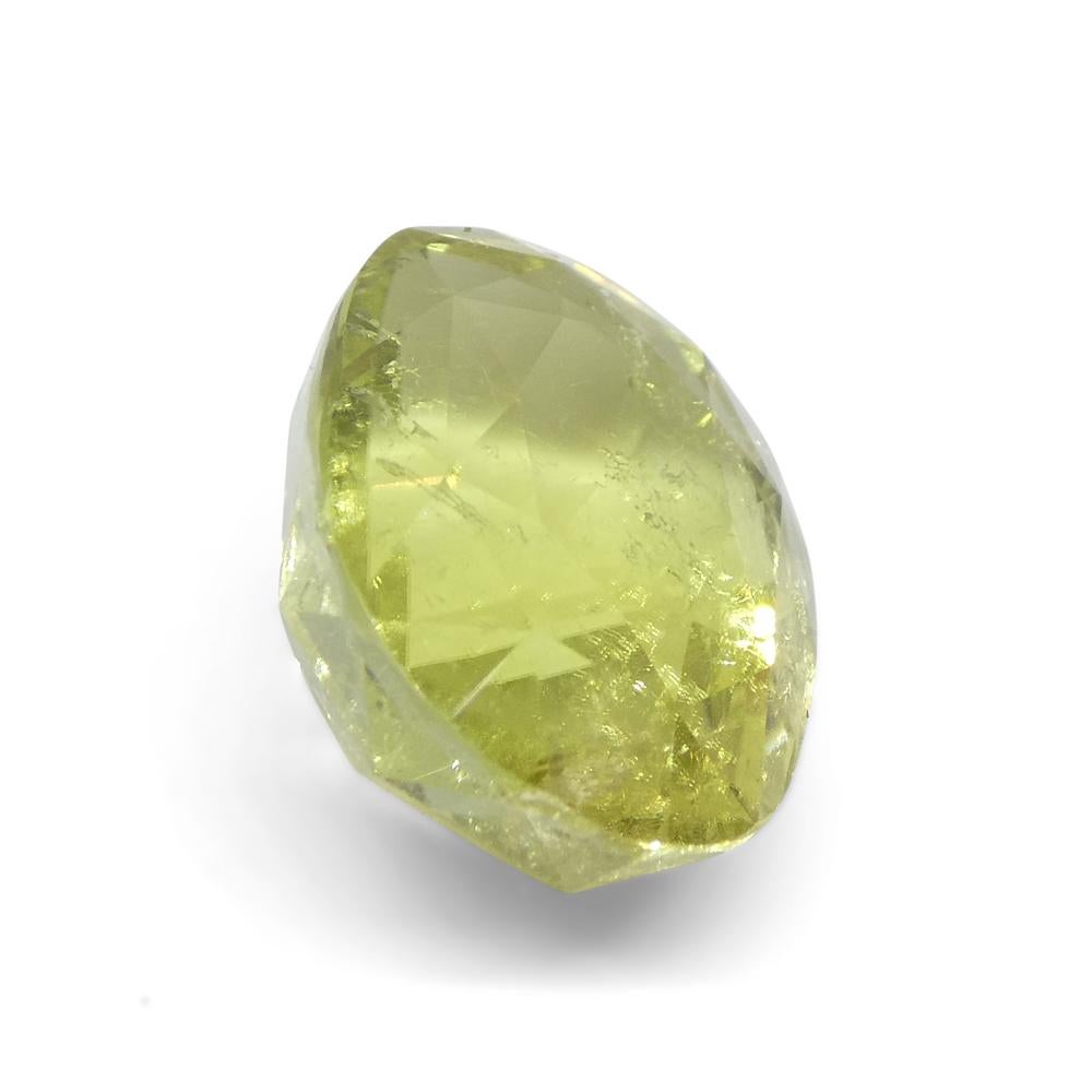 5.45ct Oval Yellow Tourmaline from Brazil For Sale 3