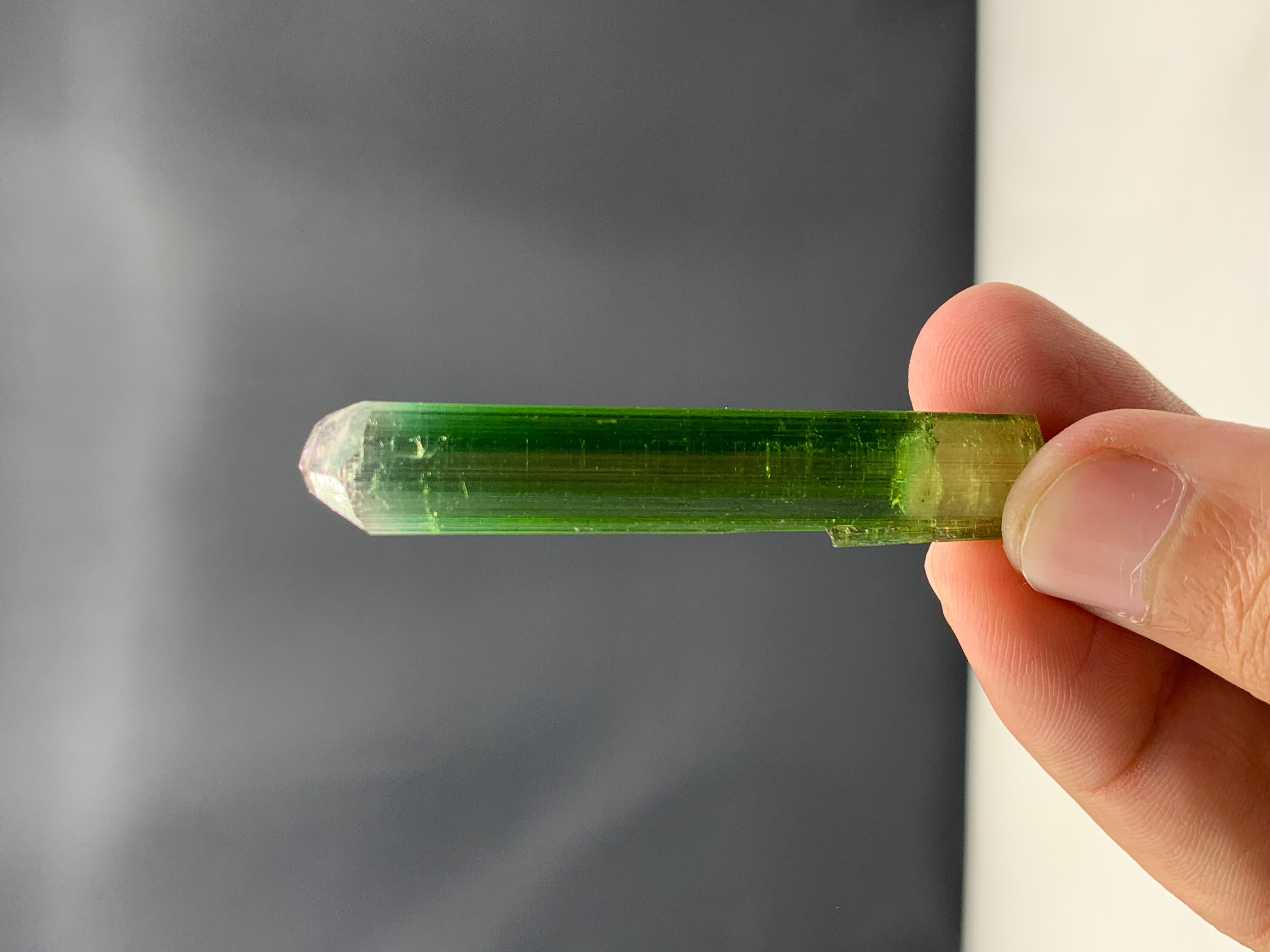 54.90 Cts Beautiful Tri Color Tourmaline Crystal From Paprook, Afghanistan  For Sale 3