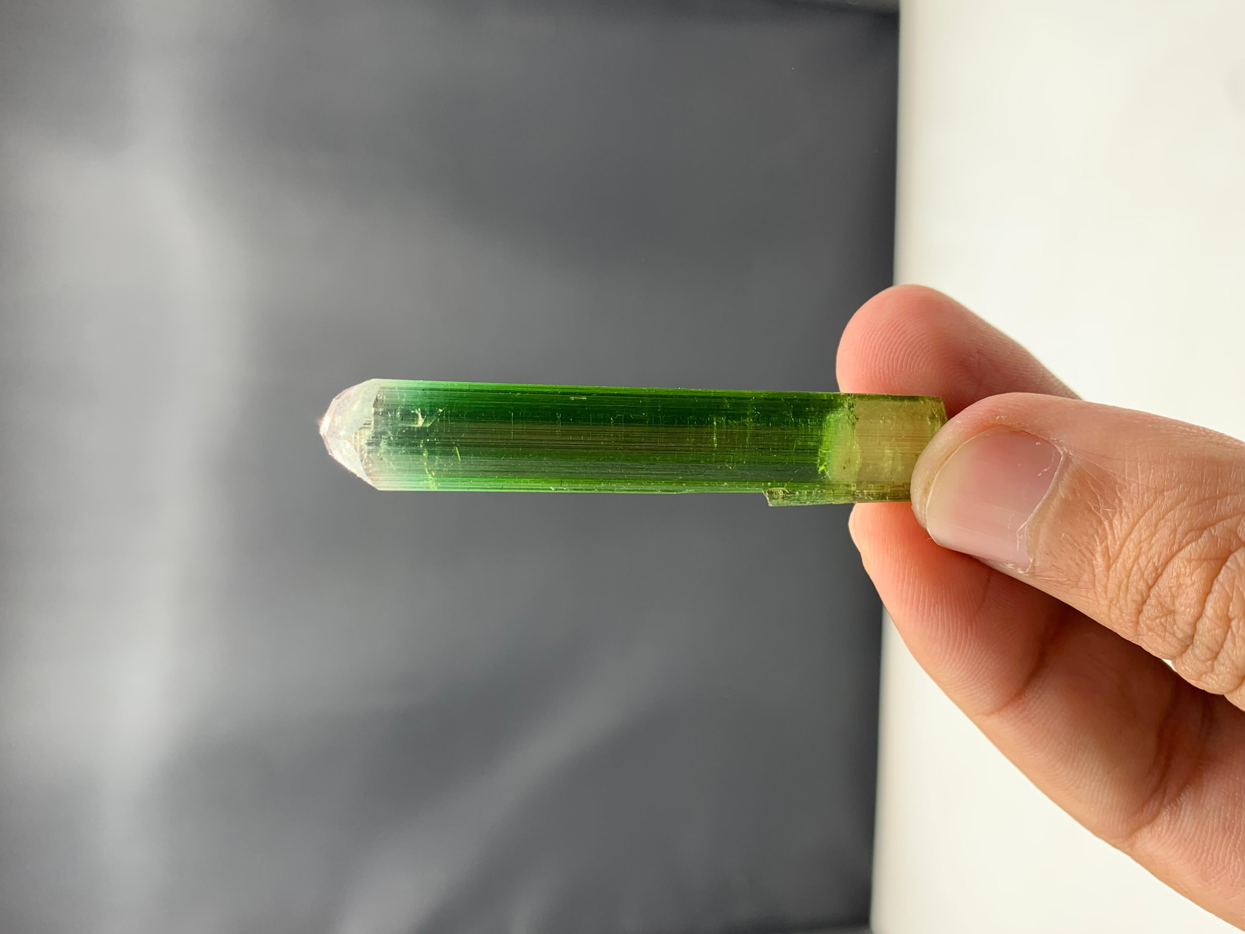 54.90 Cts Beautiful Tri Color Tourmaline Crystal From Paprook, Afghanistan  For Sale 4