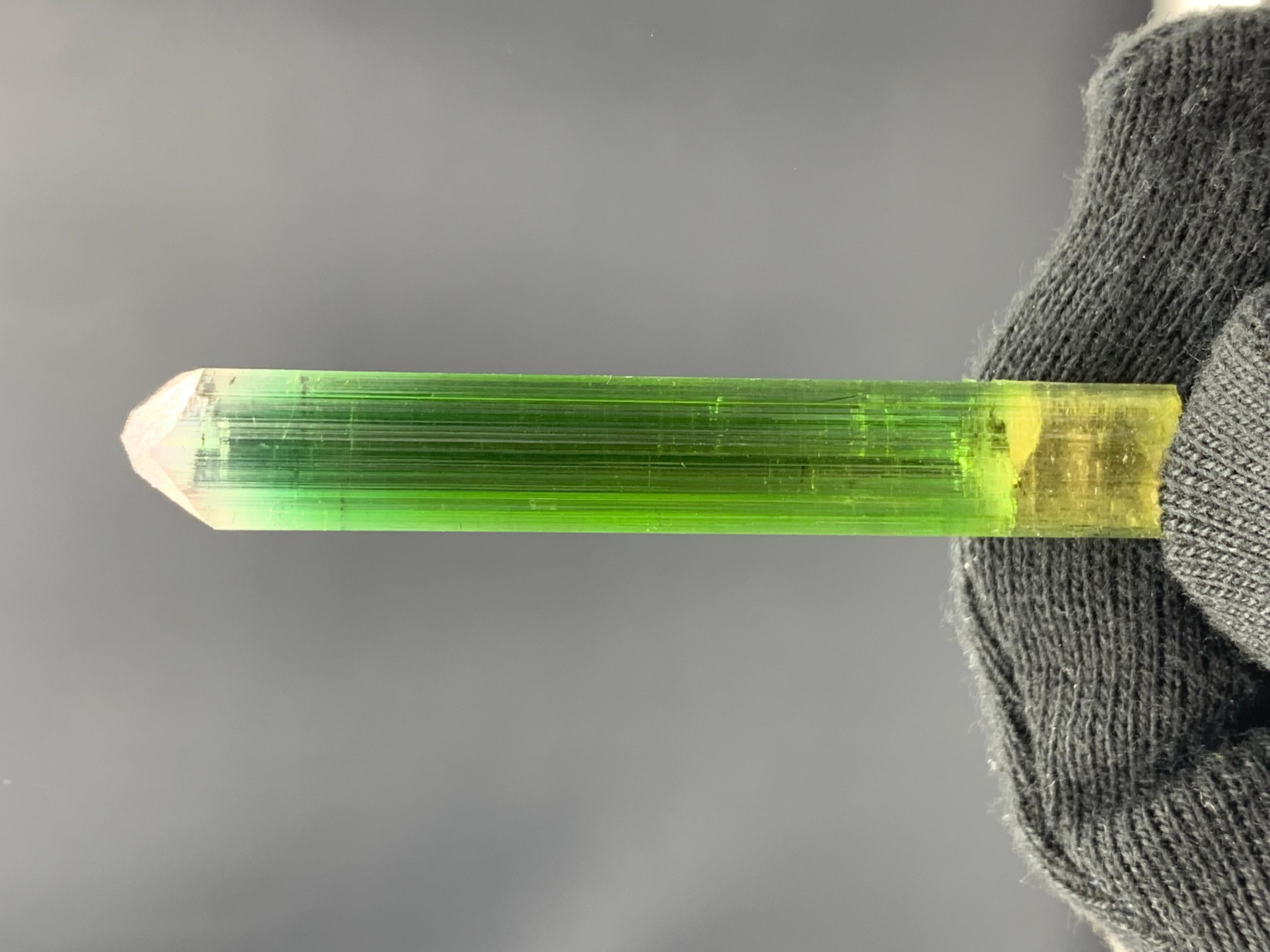 Other 54.90 Cts Beautiful Tri Color Tourmaline Crystal From Paprook, Afghanistan  For Sale