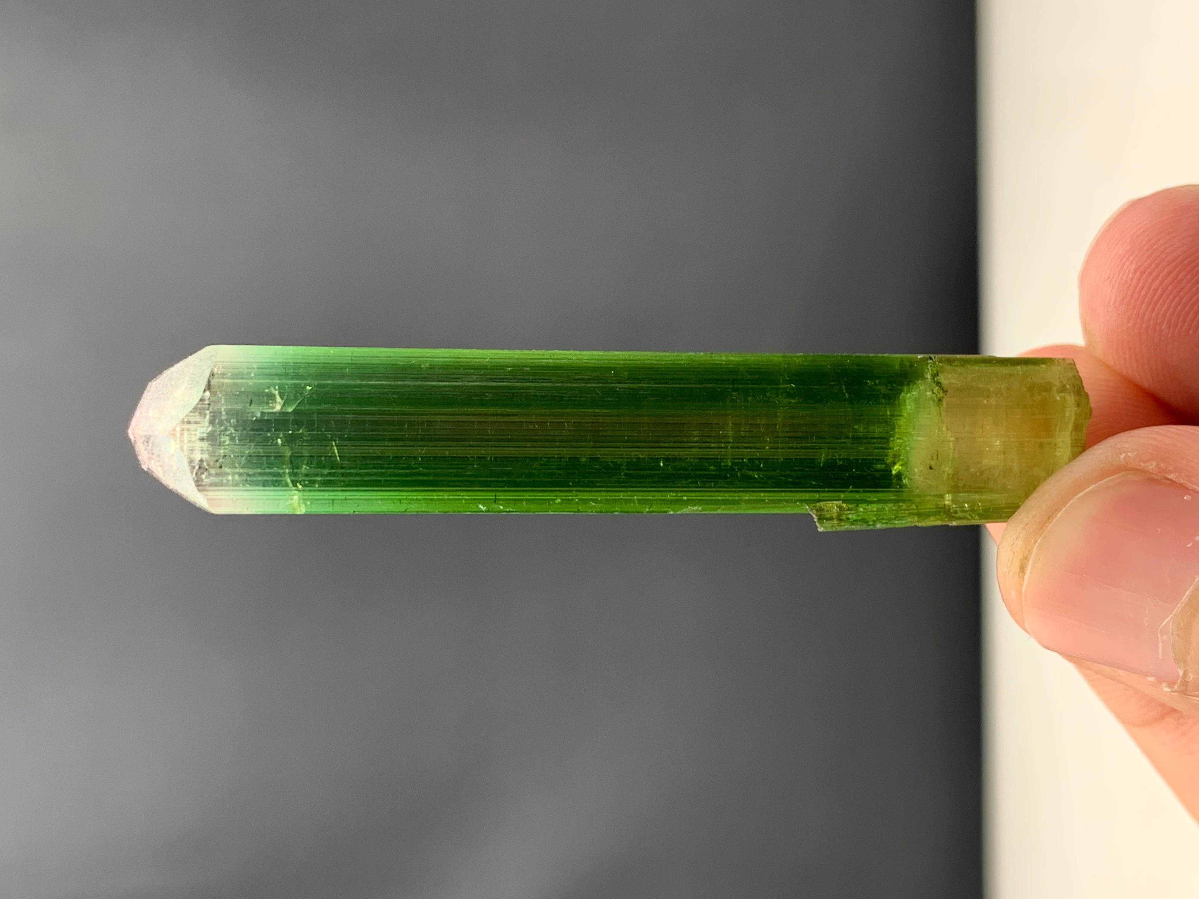 54.90 Cts Beautiful Tri Color Tourmaline Crystal From Paprook, Afghanistan  In Good Condition For Sale In Peshawar, PK