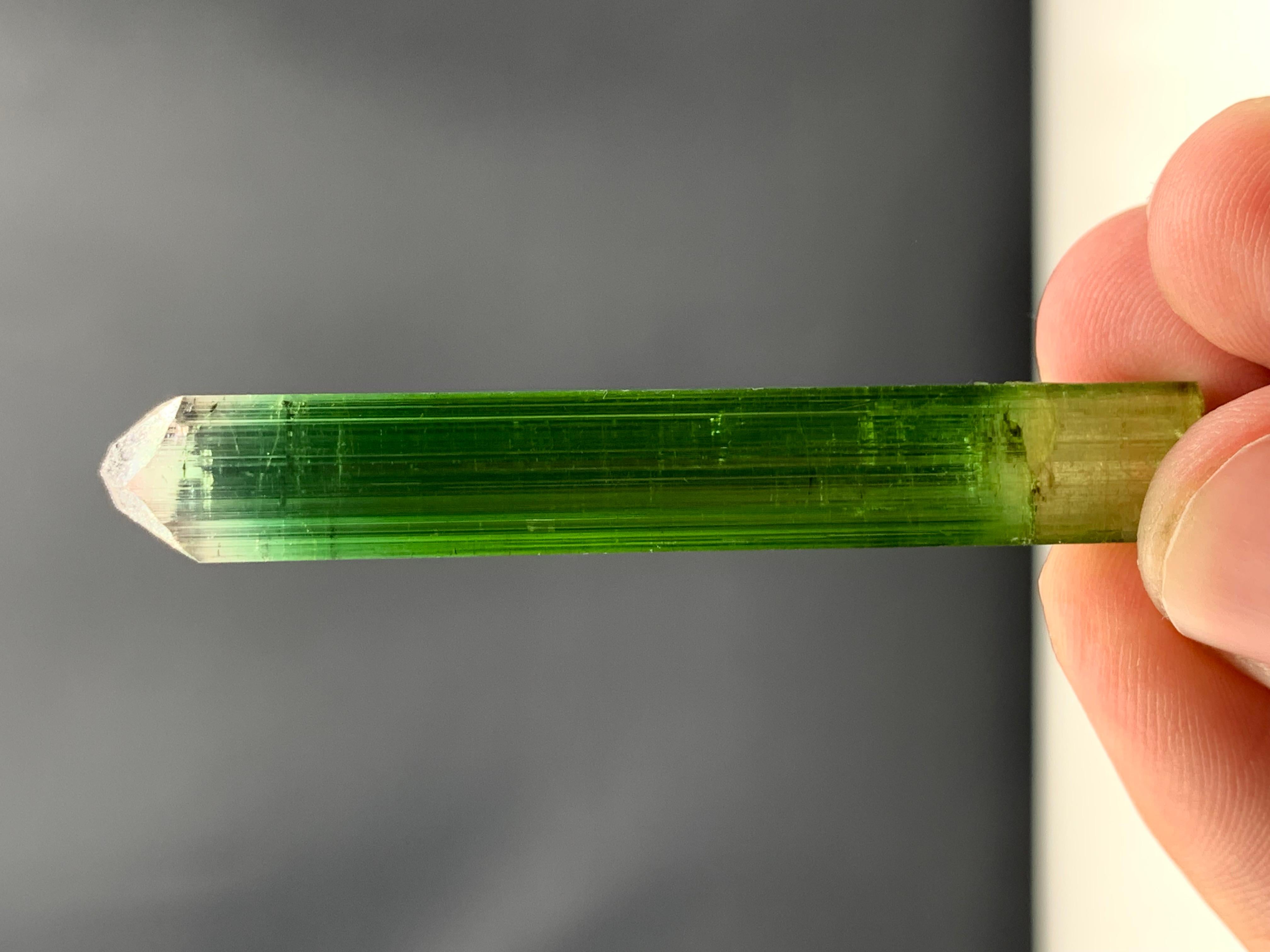 Rock Crystal 54.90 Cts Beautiful Tri Color Tourmaline Crystal From Paprook, Afghanistan  For Sale