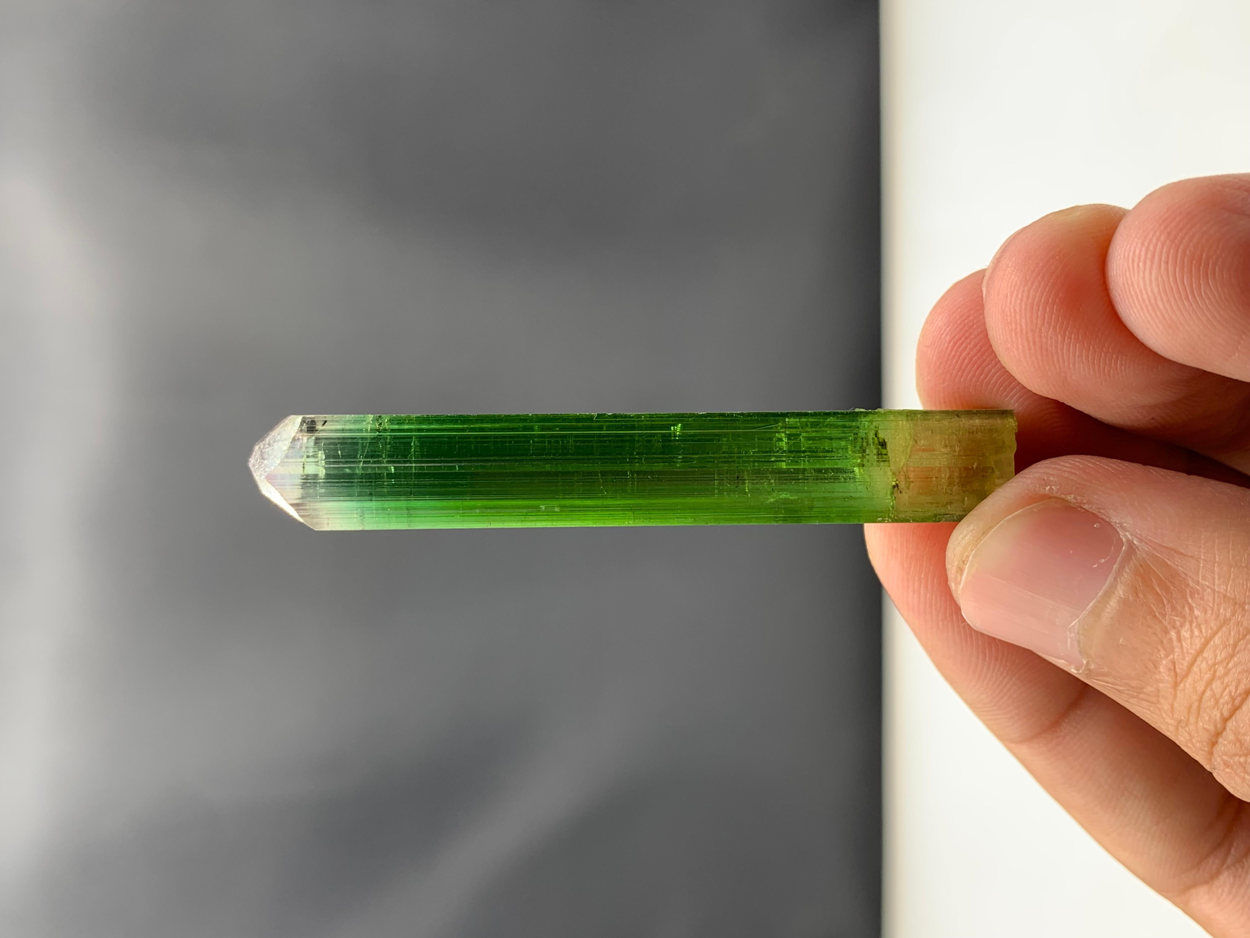 54.90 Cts Beautiful Tri Color Tourmaline Crystal From Paprook, Afghanistan  For Sale 2