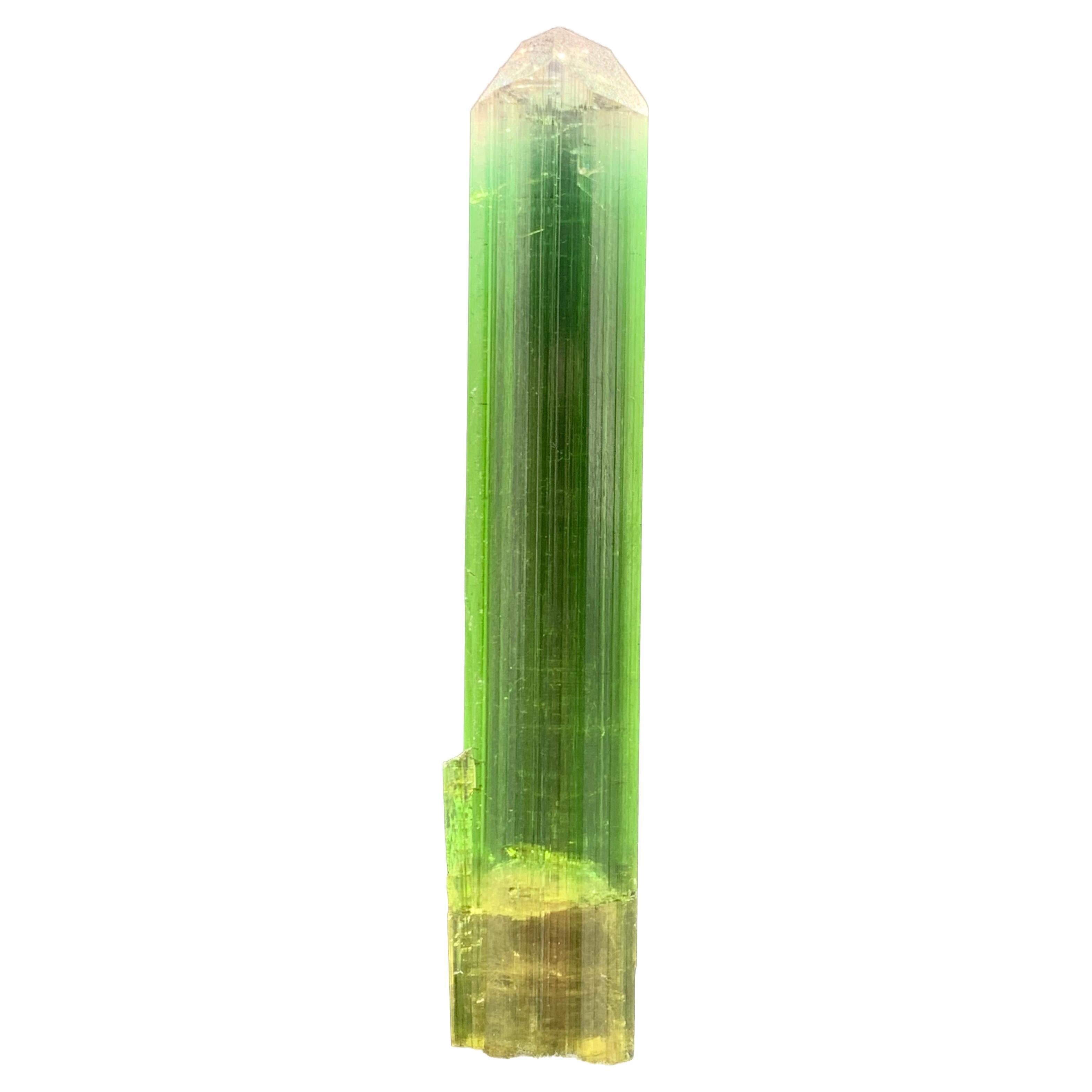 54.90 Cts Beautiful Tri Color Tourmaline Crystal From Paprook, Afghanistan  For Sale