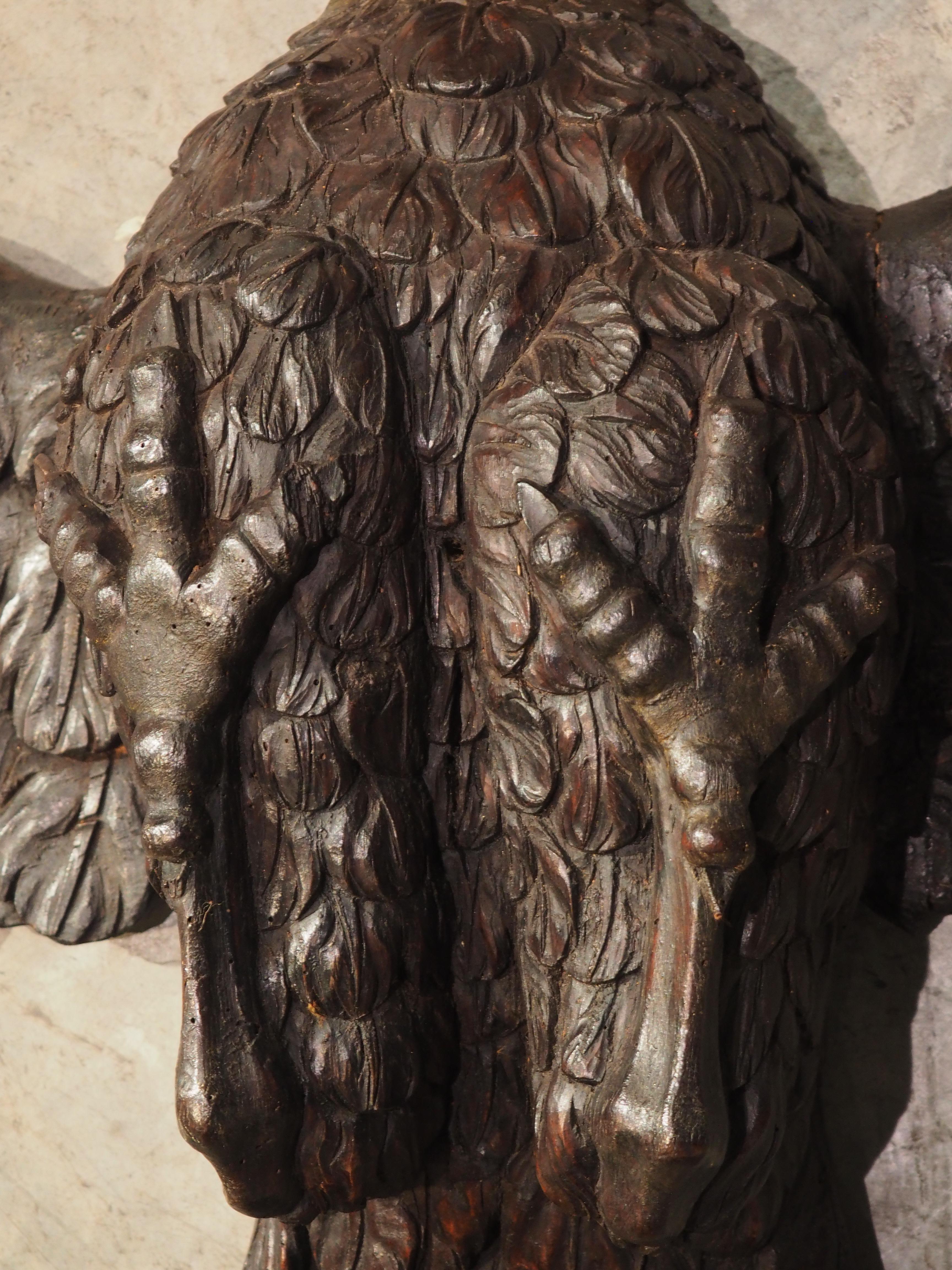 Aigle ancien en bois sculpté de 5,5 pieds de large provenant de France, vers 1810 en vente 4