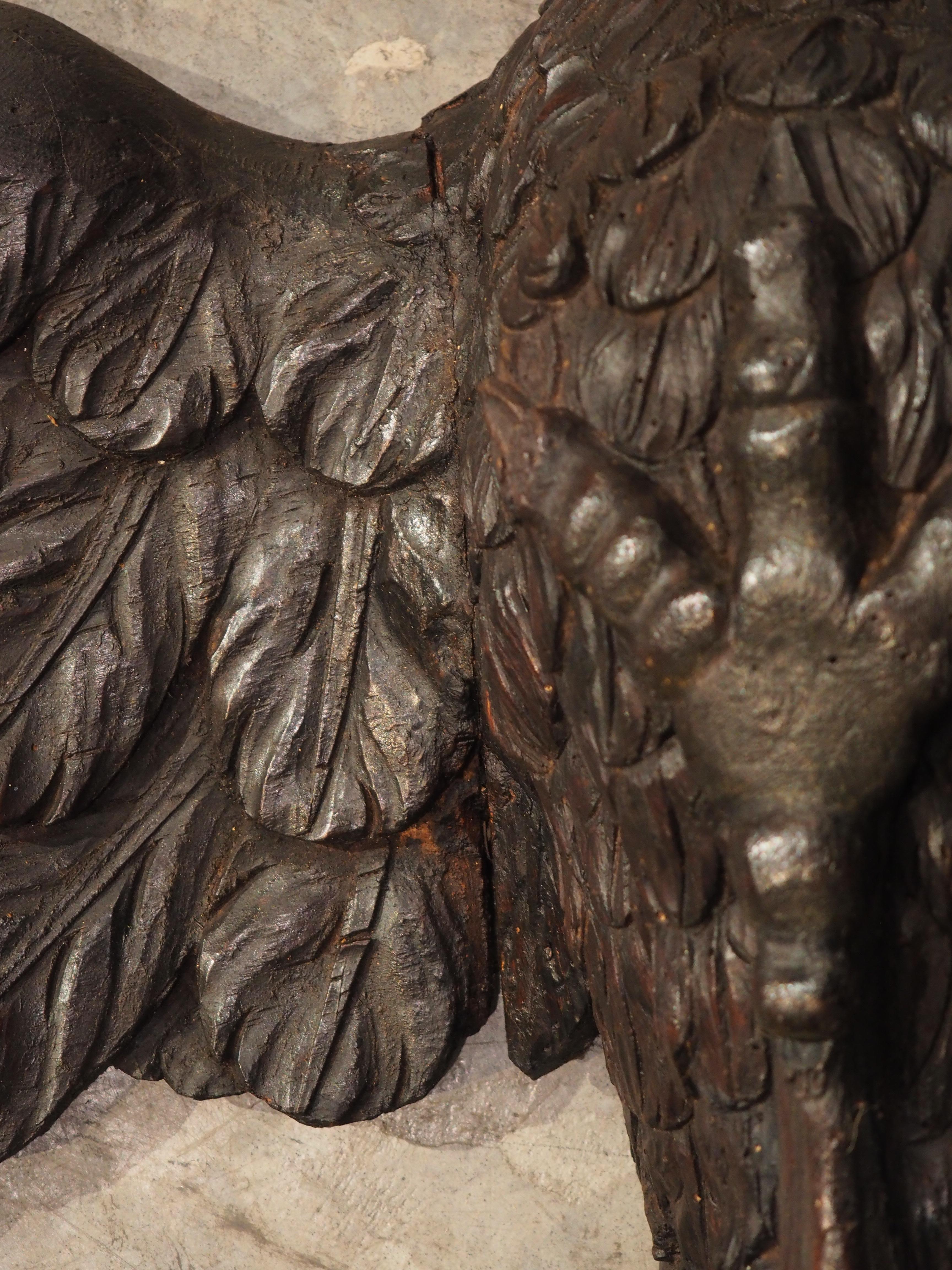 Aigle ancien en bois sculpté de 5,5 pieds de large provenant de France, vers 1810 en vente 5