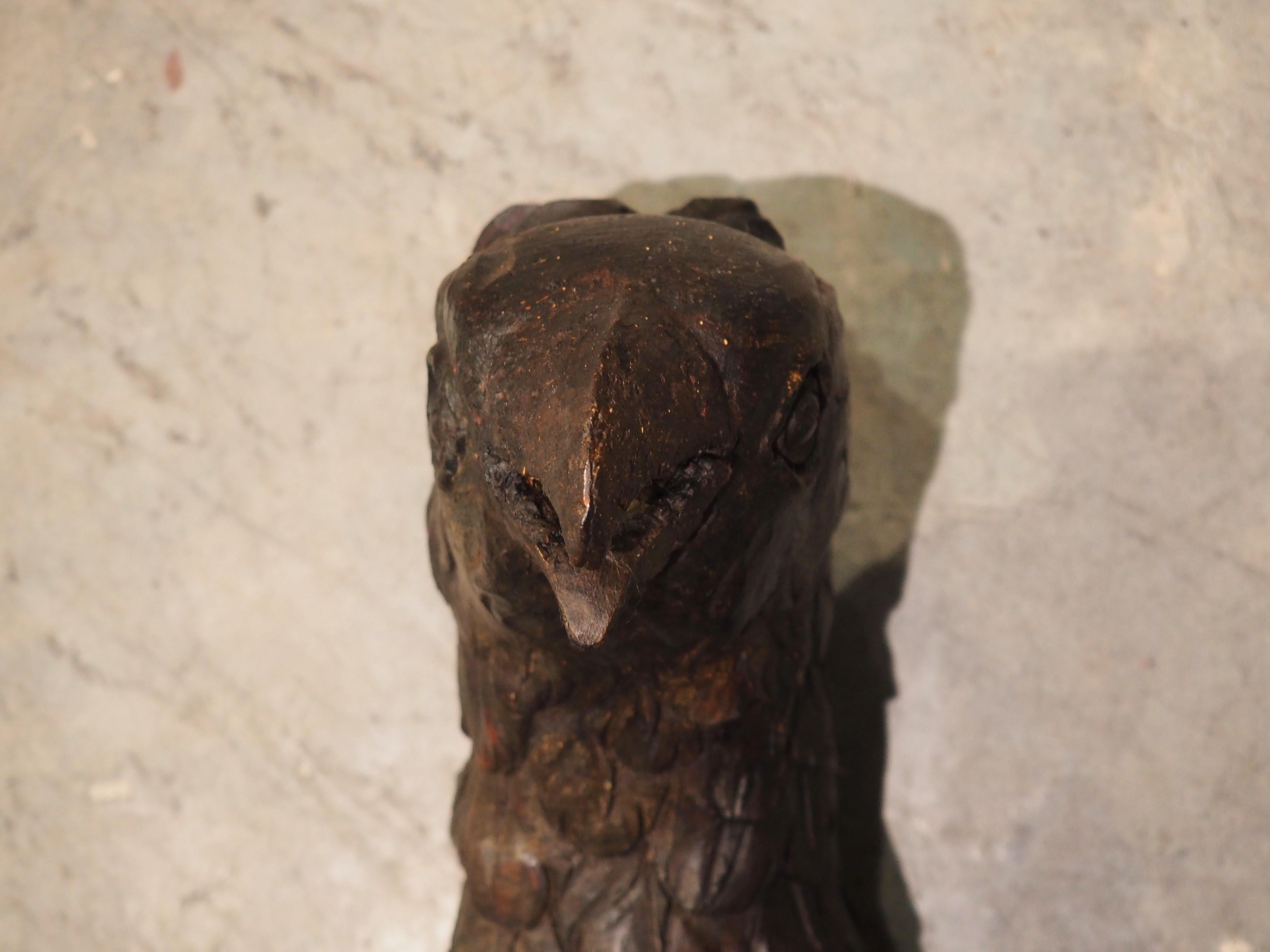 Wide Antique Carved Wooden Eagle from France, Circa 1810 For Sale 8