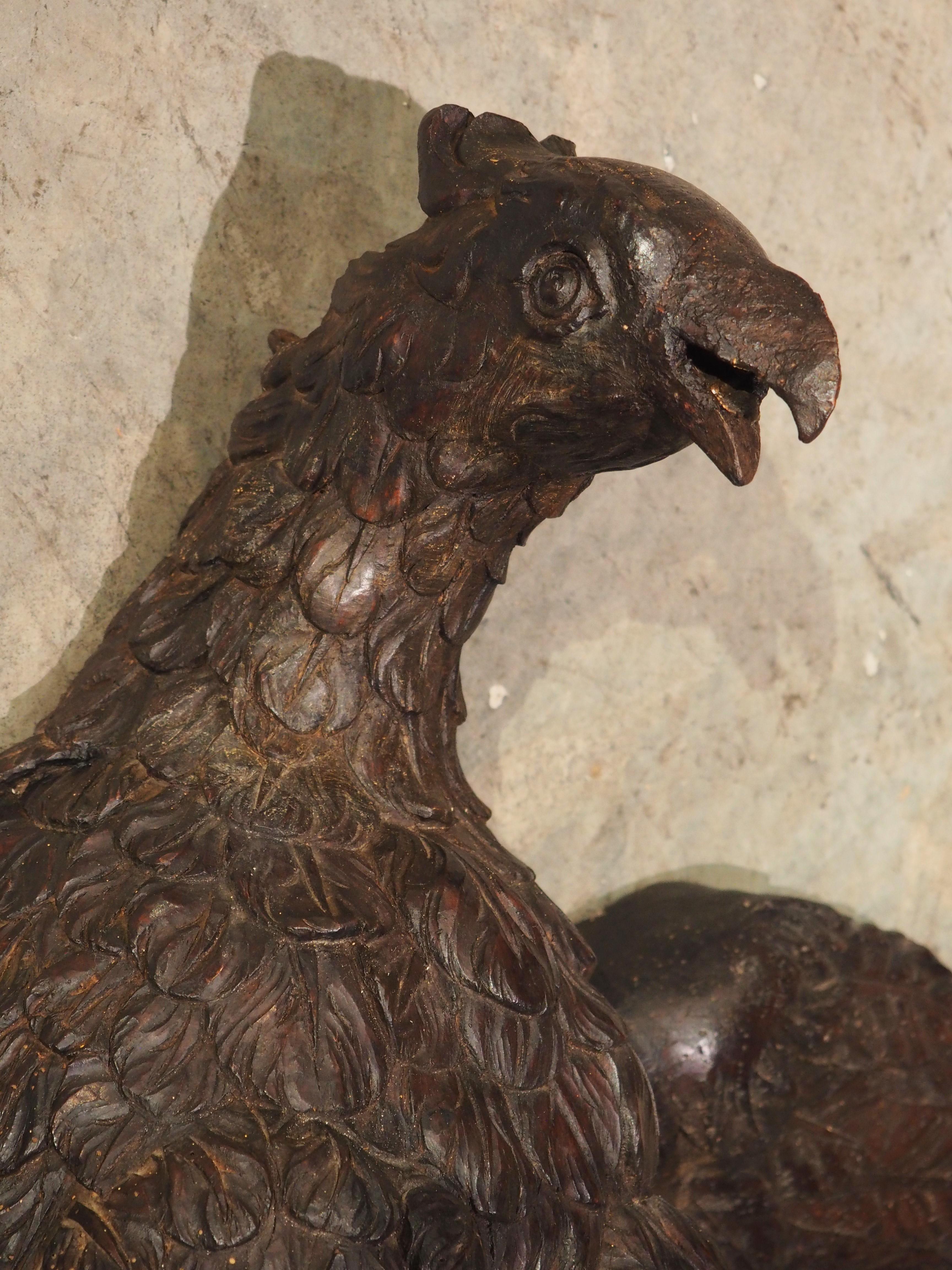 Wide Antique Carved Wooden Eagle from France, Circa 1810 10
