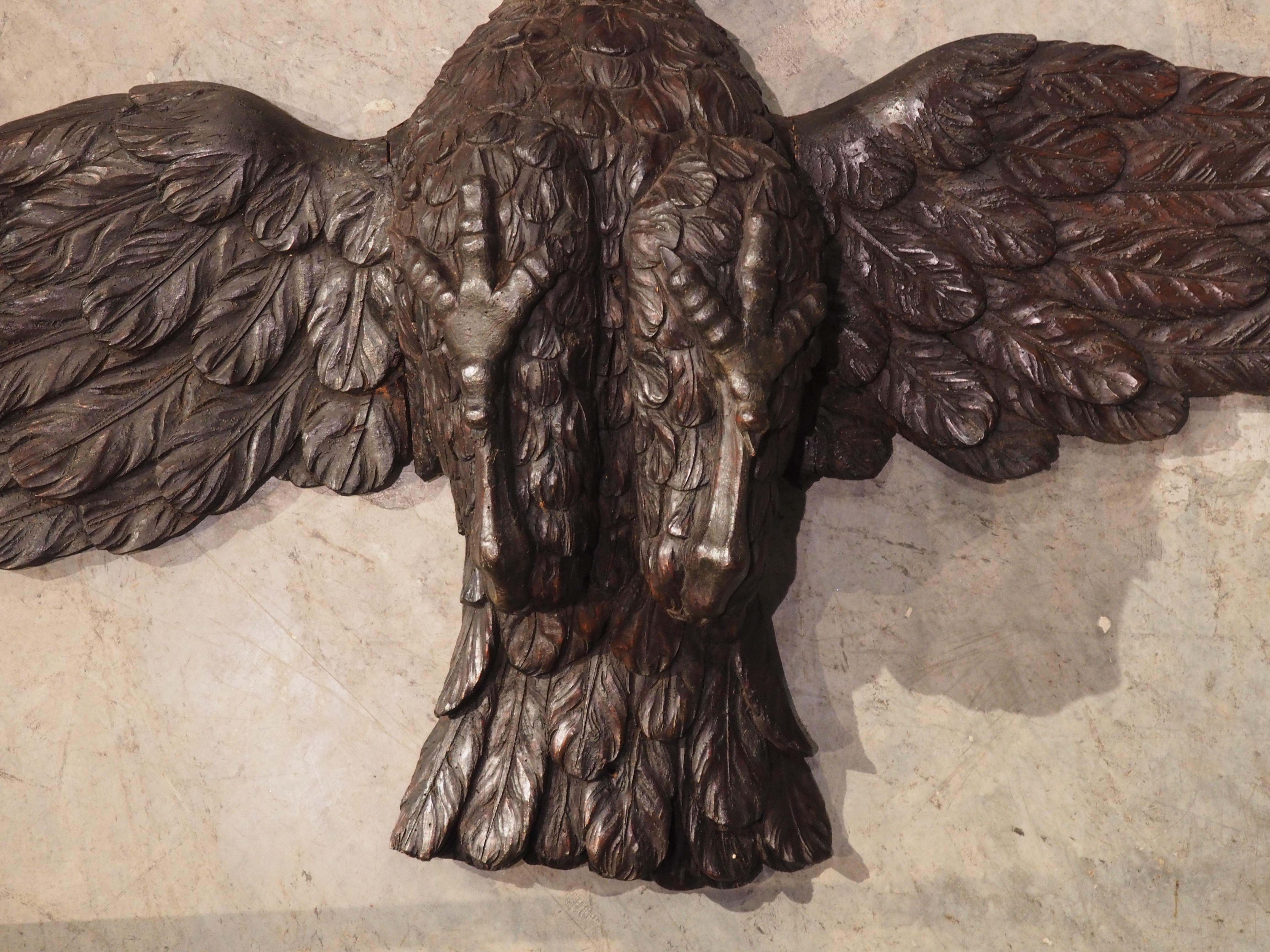 Wide Antique Carved Wooden Eagle from France, Circa 1810 For Sale 11