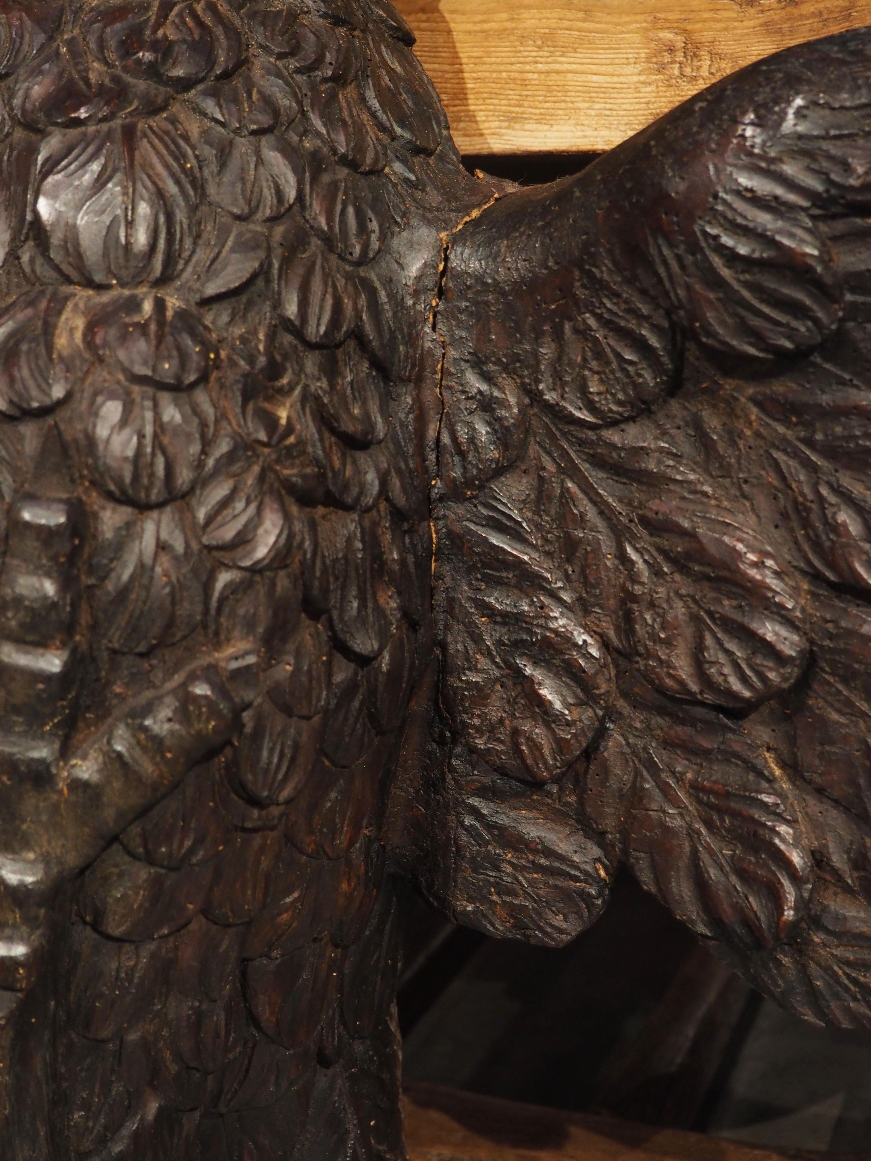 Early 19th Century Wide Antique Carved Wooden Eagle from France, Circa 1810 For Sale