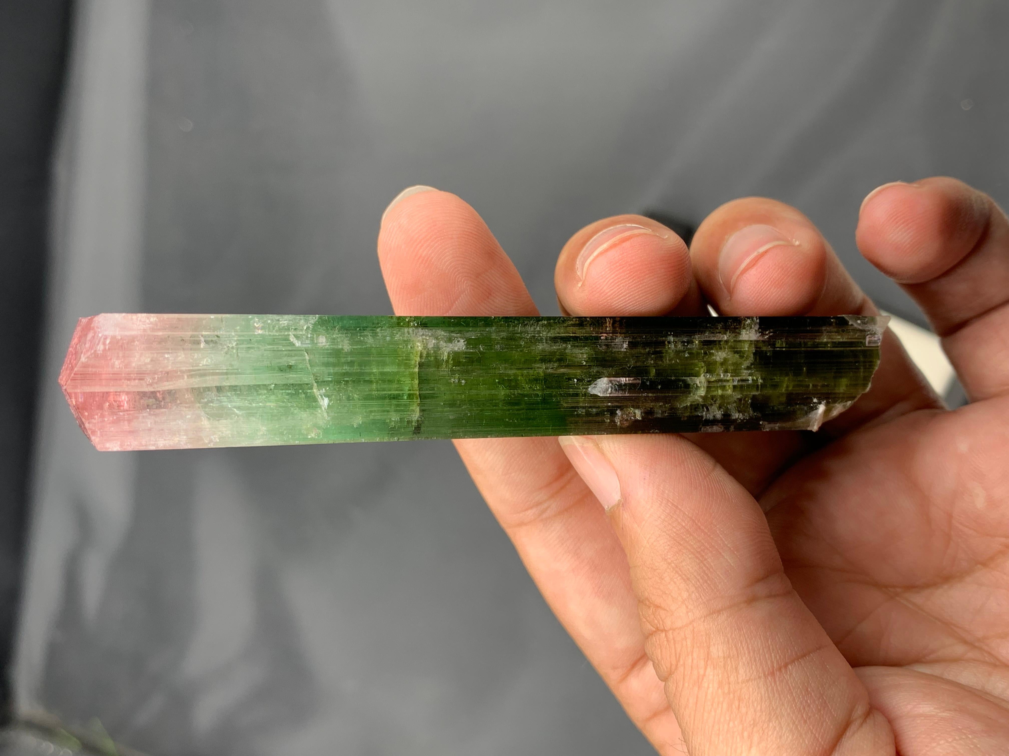 Informazioni sul prodotto:

Nome del campione: Cristallo di tormalina bicolore

Peso: 55 grammi

Dimensioni: H: 10,2 x L: 1,7 x P: 1,7 cm

Trattamento: Nessuno

Origine: Miniera di Paprok, provincia di Nuristan, Afghanistan 

Descrizione: 

Questa