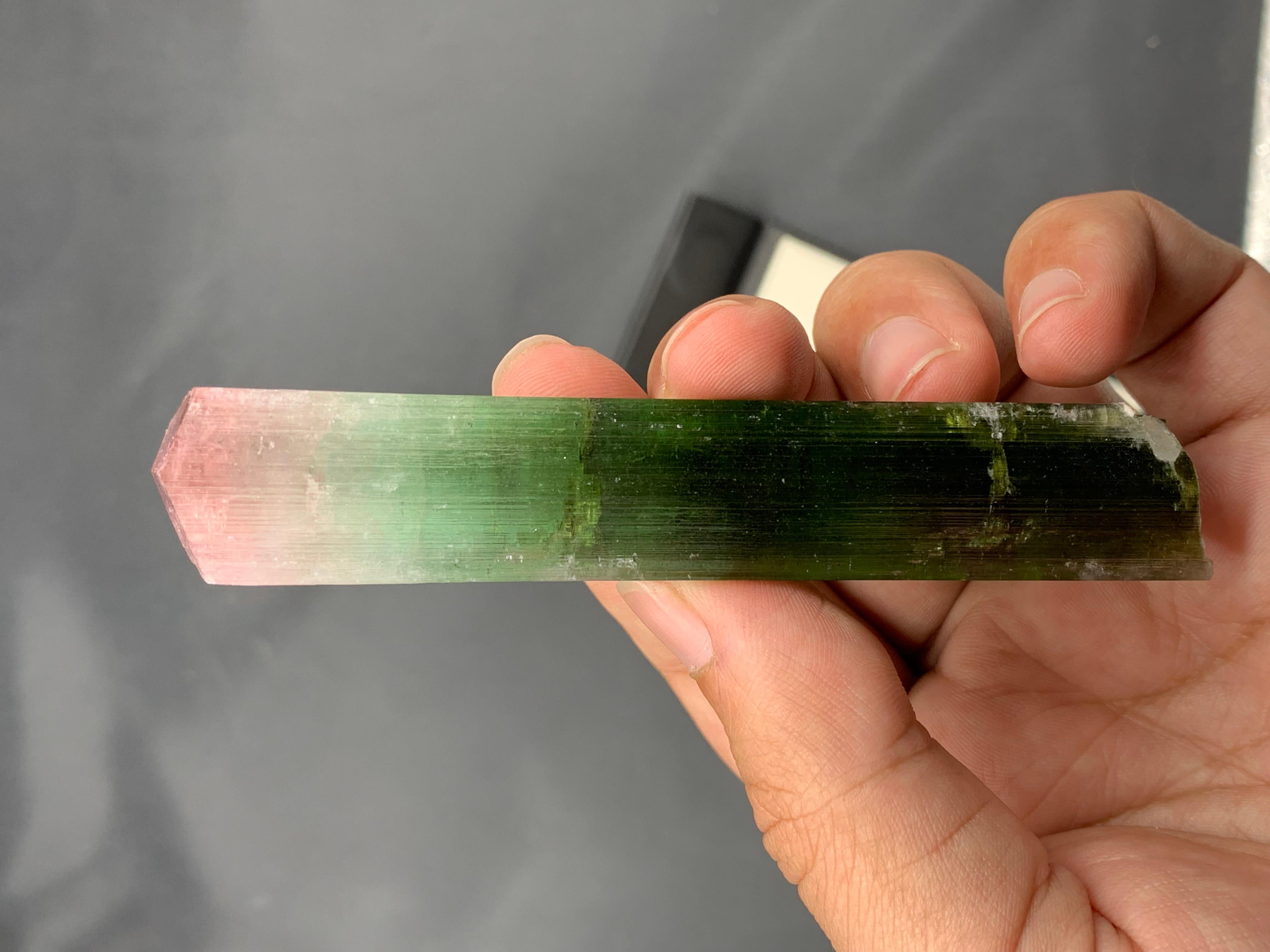 Stile Adam 55 grammi di cristallo di tormalina bicolore a doppia terminazione dall'Afghanistan in vendita