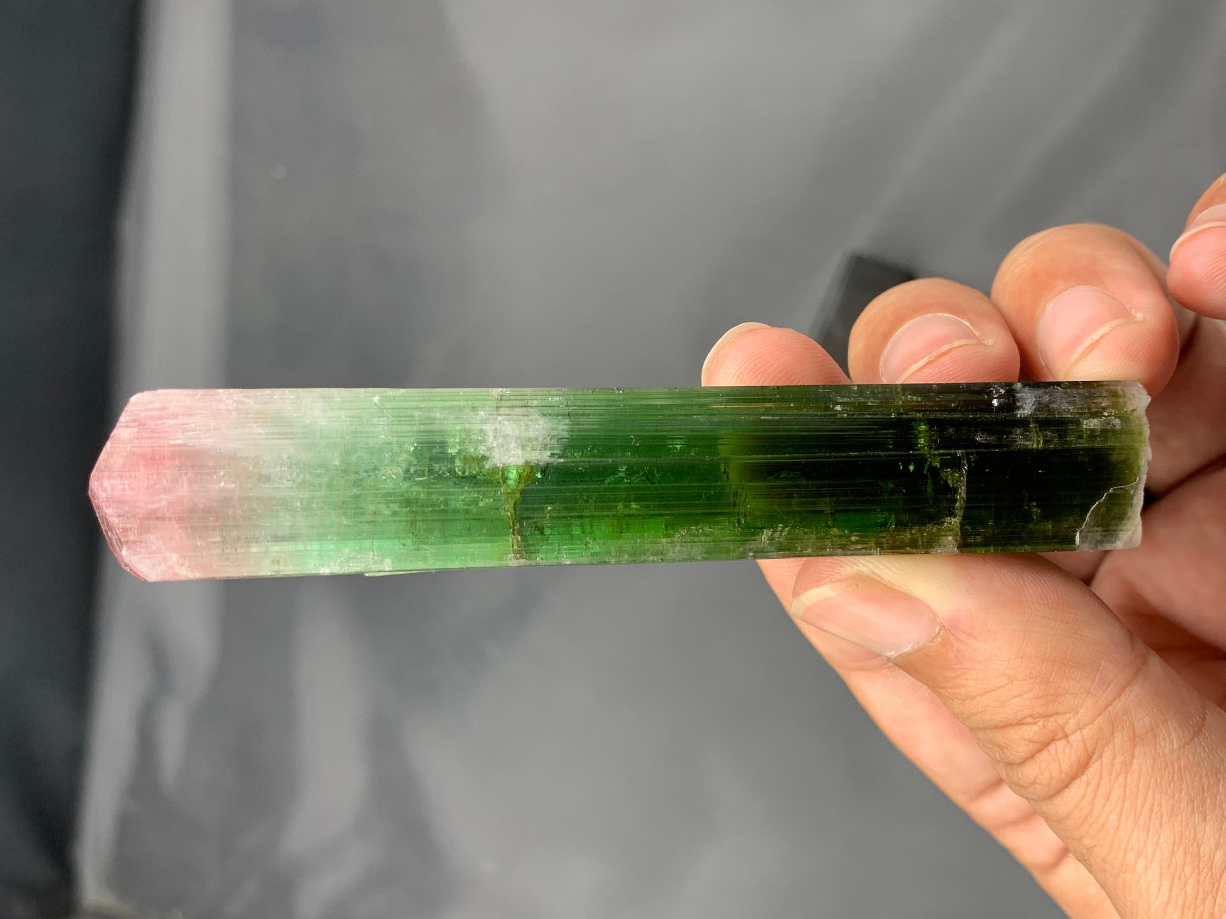 XXI secolo e contemporaneo 55 grammi di cristallo di tormalina bicolore a doppia terminazione dall'Afghanistan in vendita