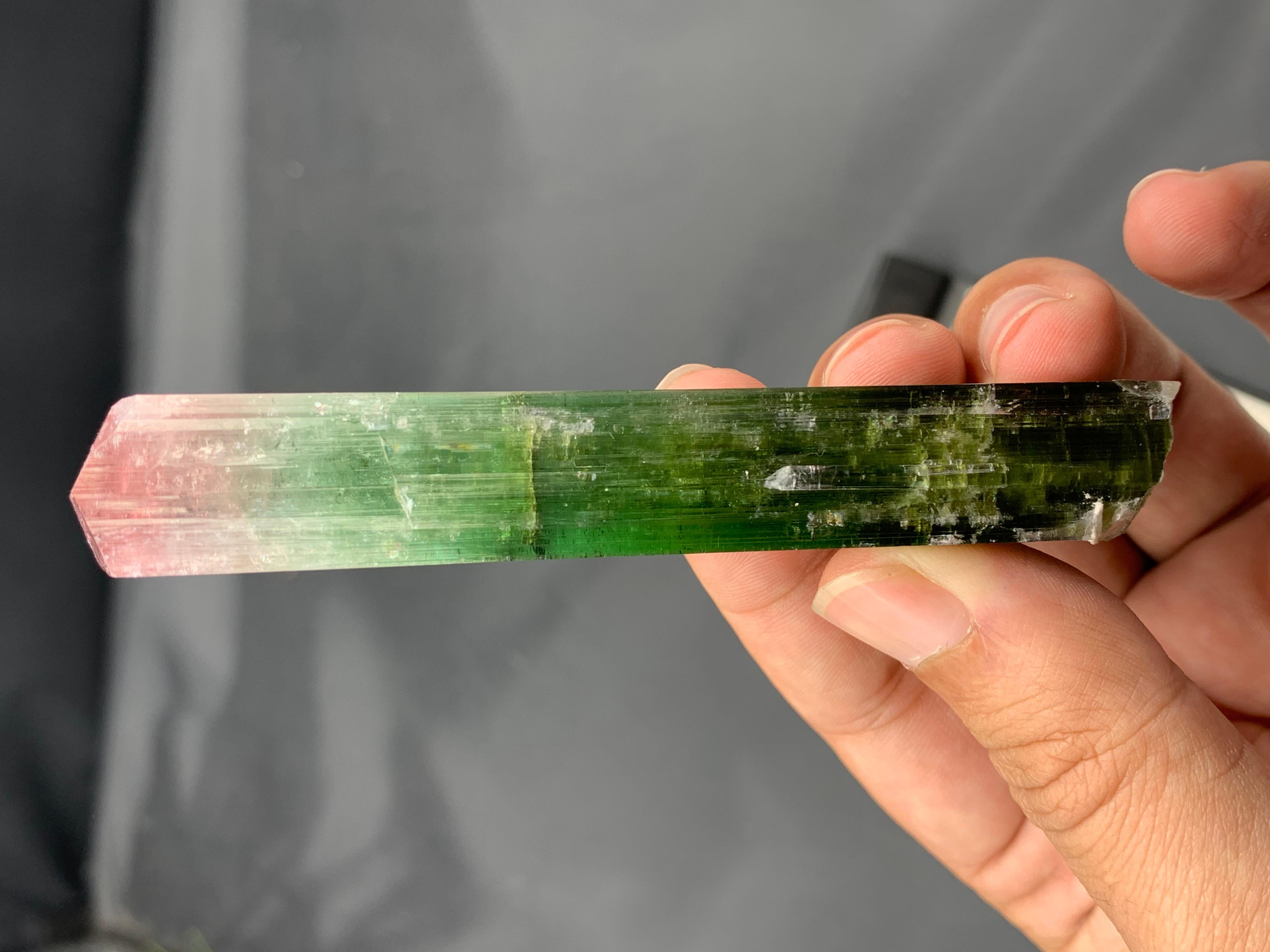 Altro 55 grammi di cristallo di tormalina bicolore a doppia terminazione dall'Afghanistan in vendita