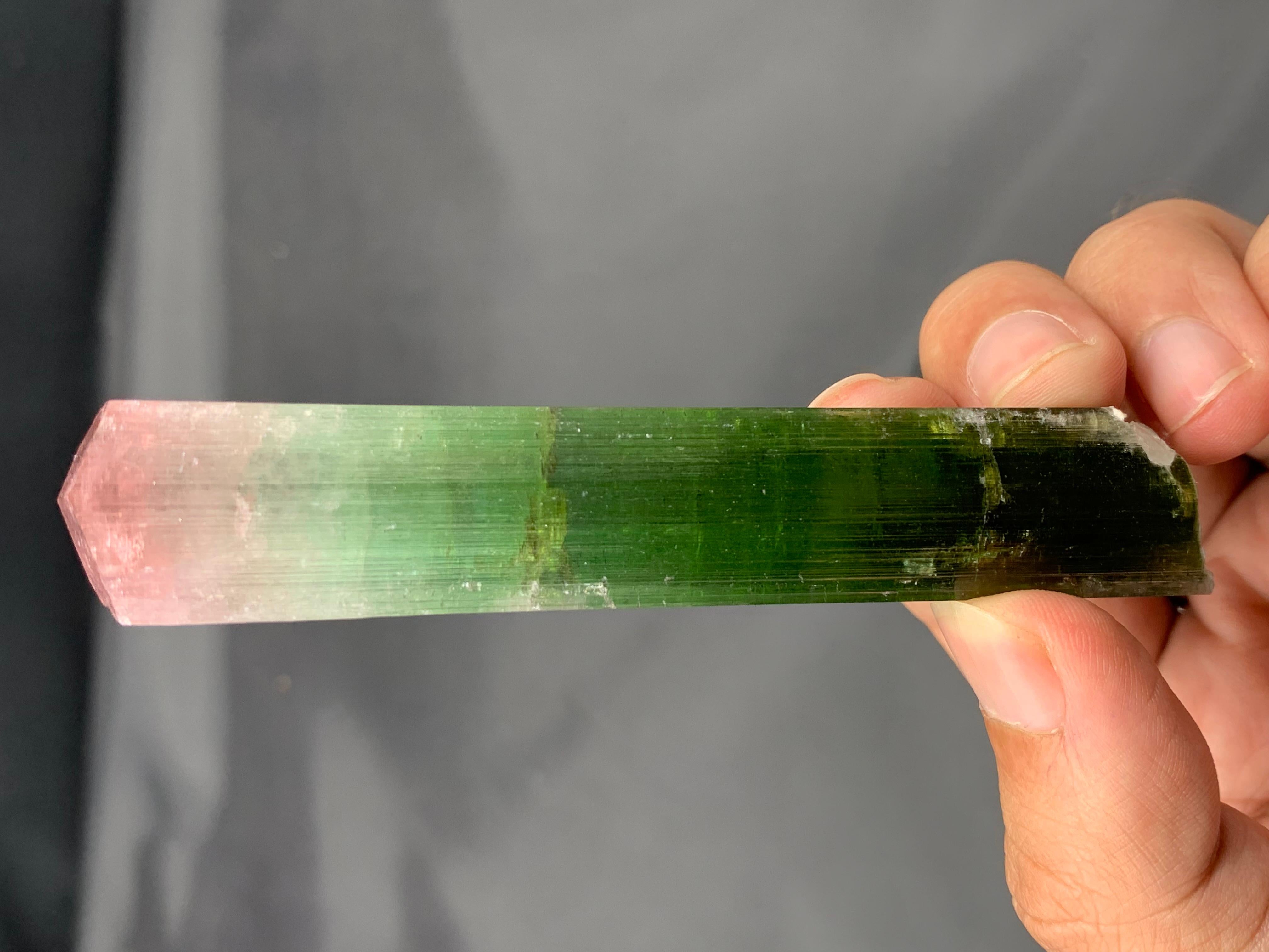 55 grammi di cristallo di tormalina bicolore a doppia terminazione dall'Afghanistan in vendita 1