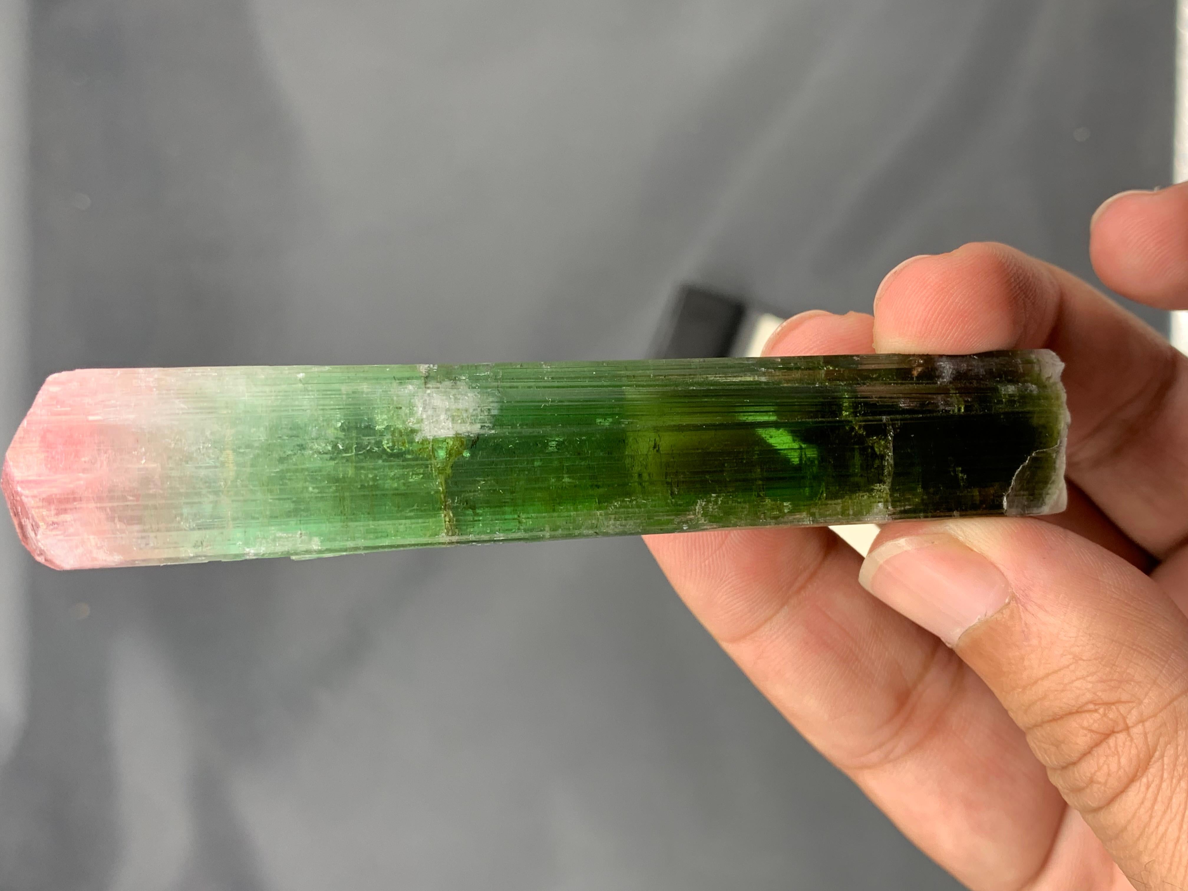 55 grammi di cristallo di tormalina bicolore a doppia terminazione dall'Afghanistan in vendita 2